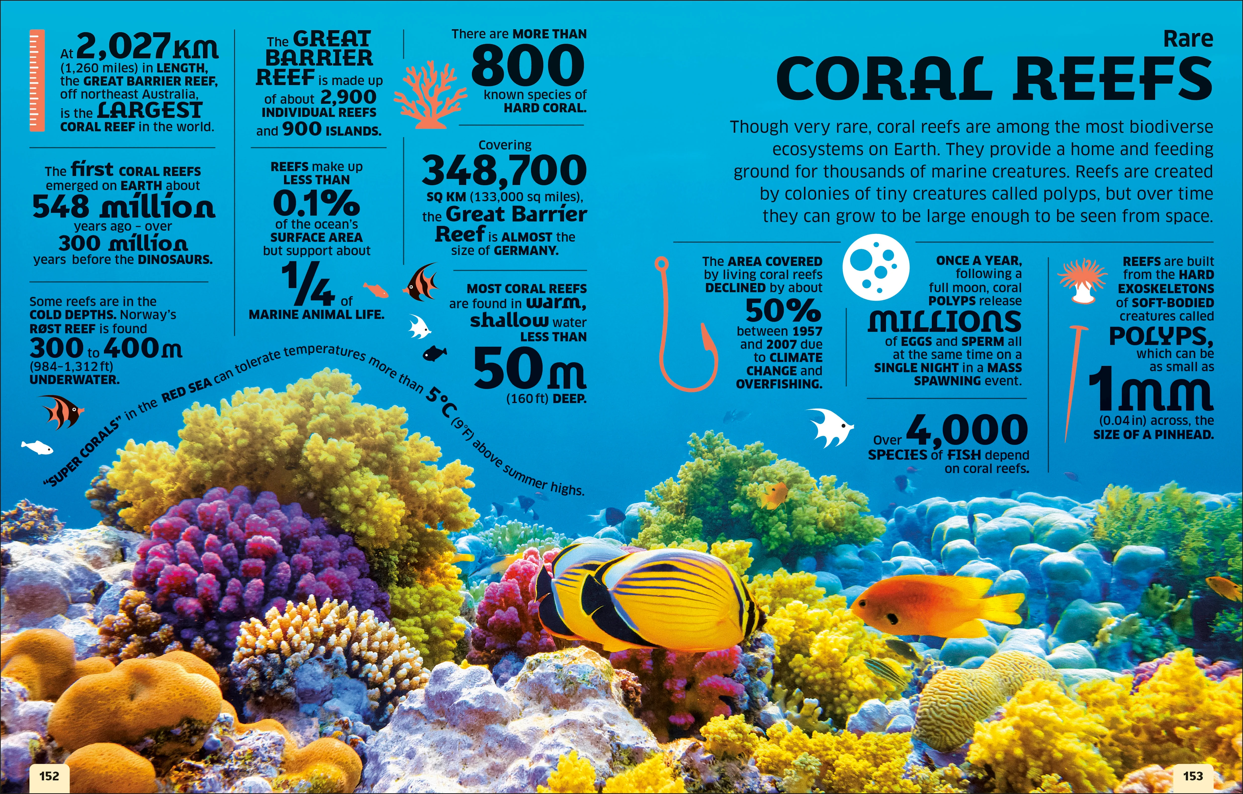 Our World in Numbers Planet Earth - Image 4