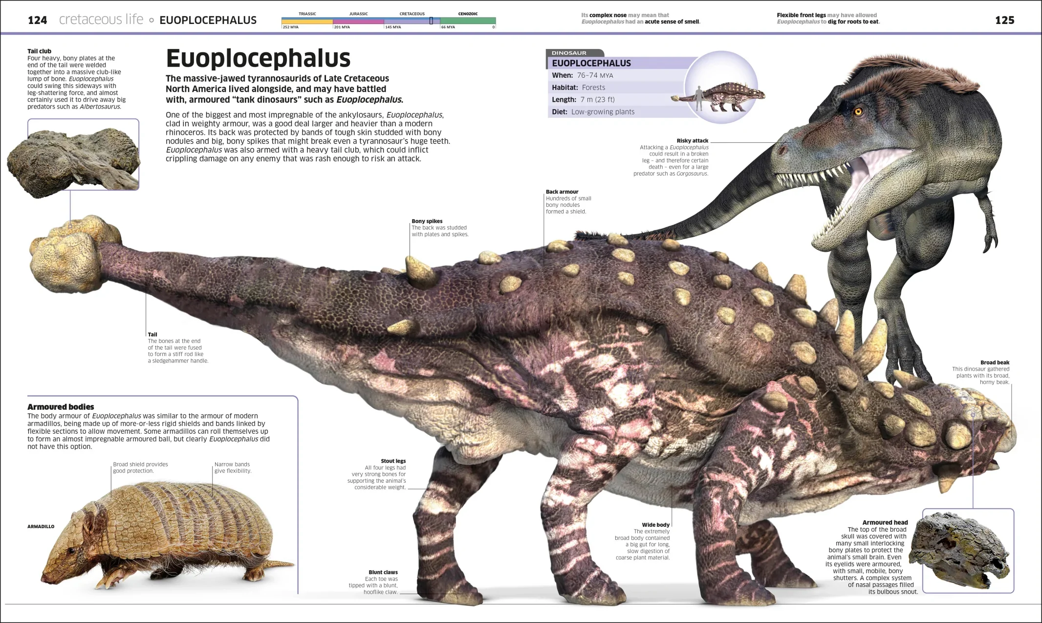 Knowledge Encyclopedia Dinosaur! - Image 4
