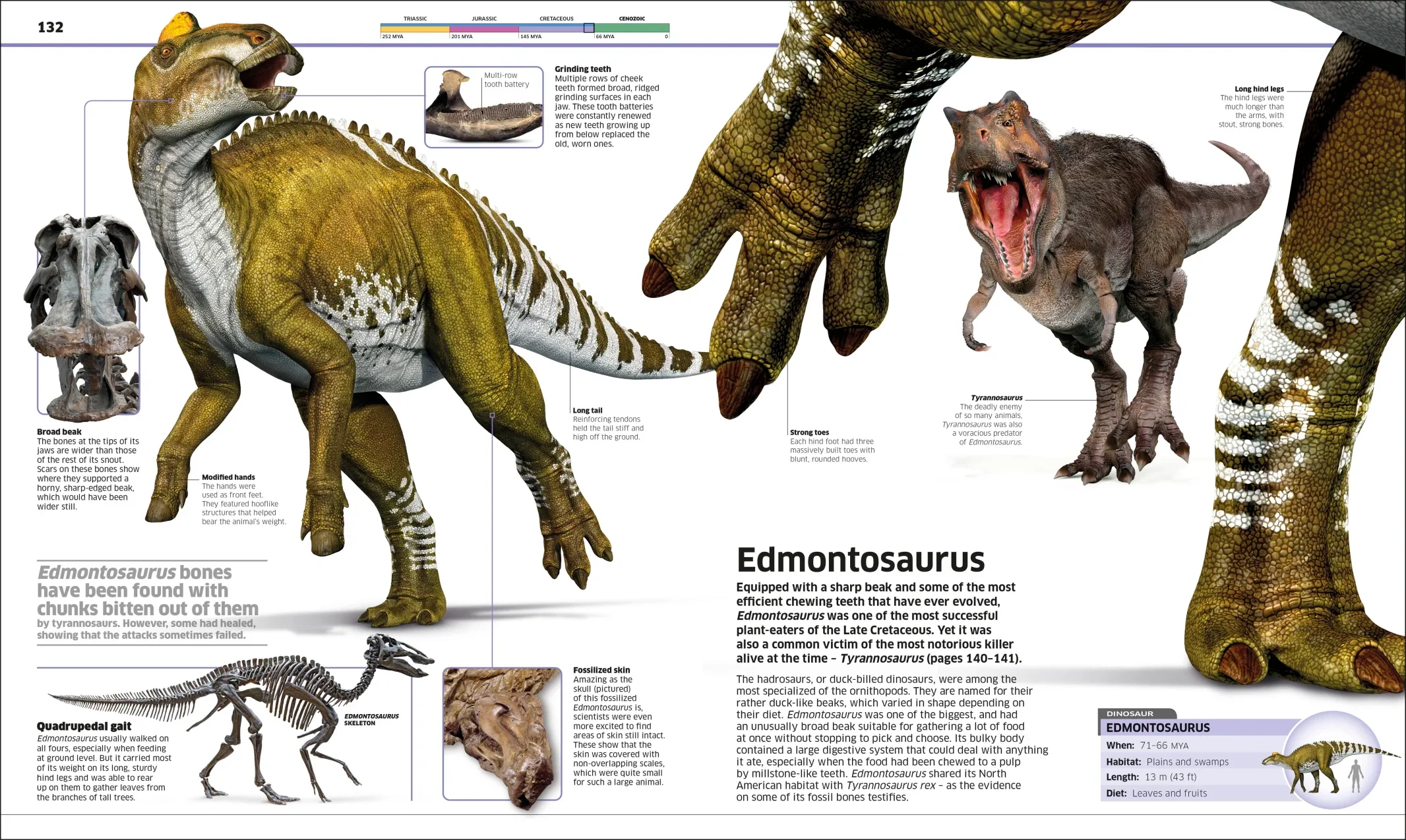 Knowledge Encyclopedia Dinosaur! - Image 5