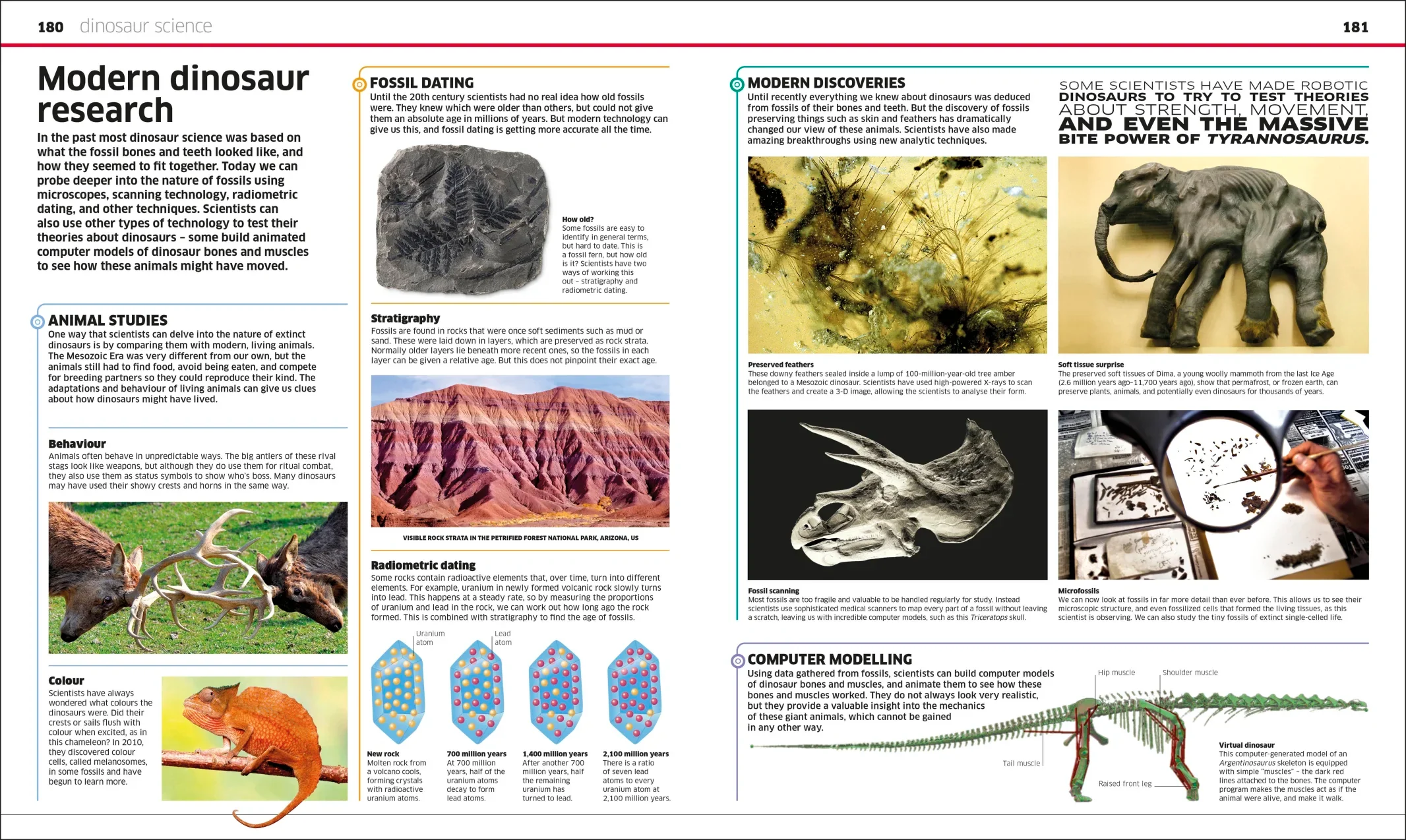 Knowledge Encyclopedia Dinosaur! - Image 7