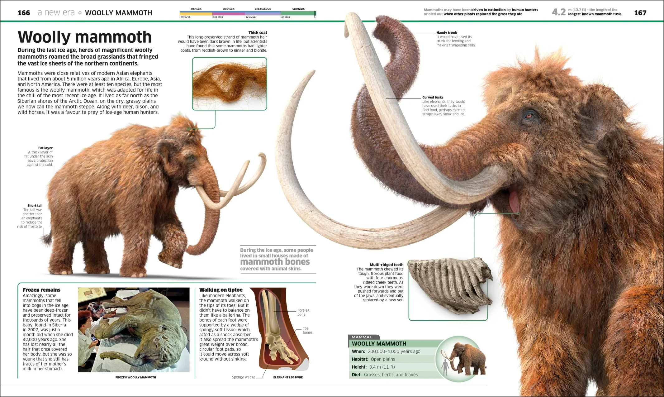 Knowledge Encyclopedia Dinosaur! - Image 8