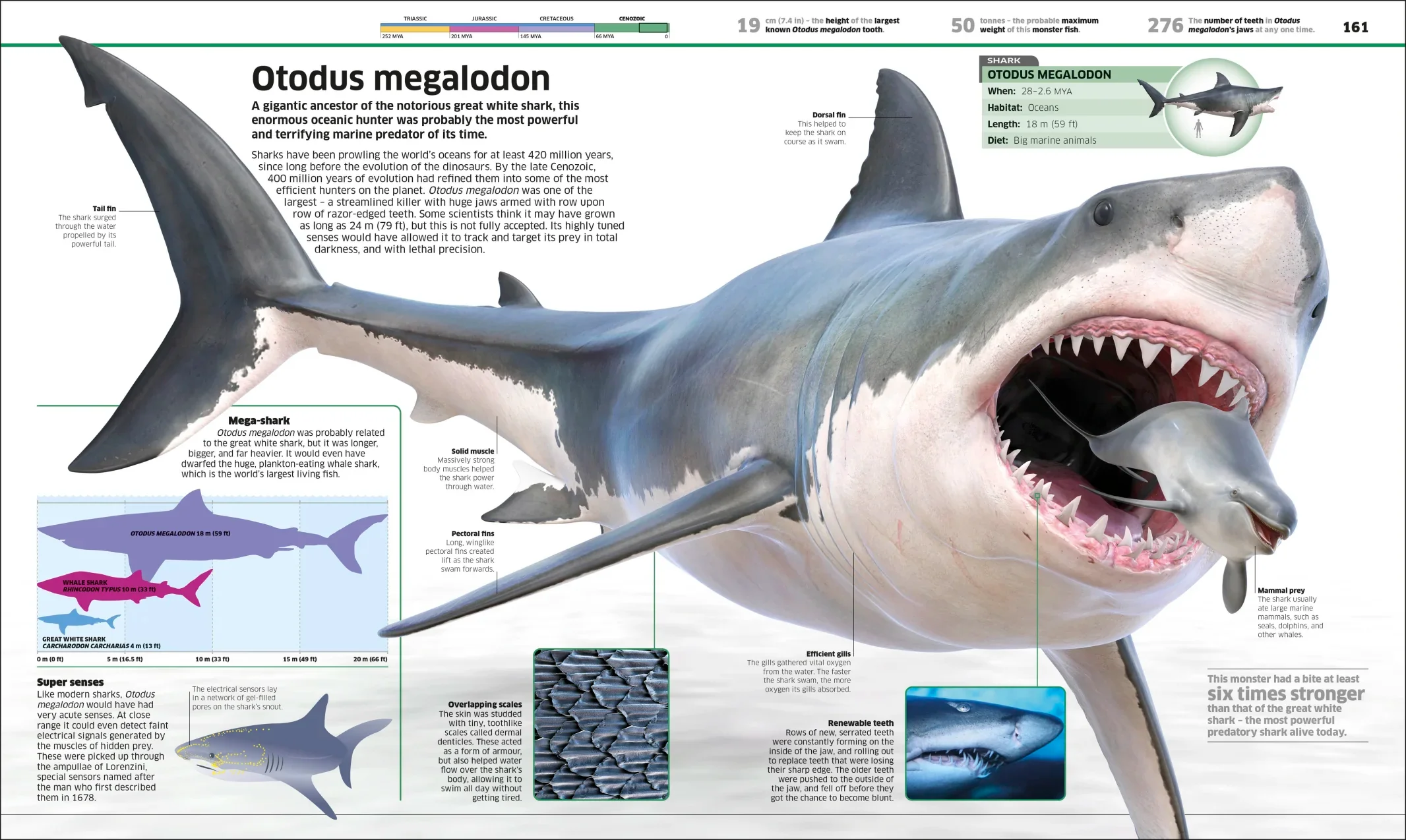 Knowledge Encyclopedia Dinosaur! - Image 9