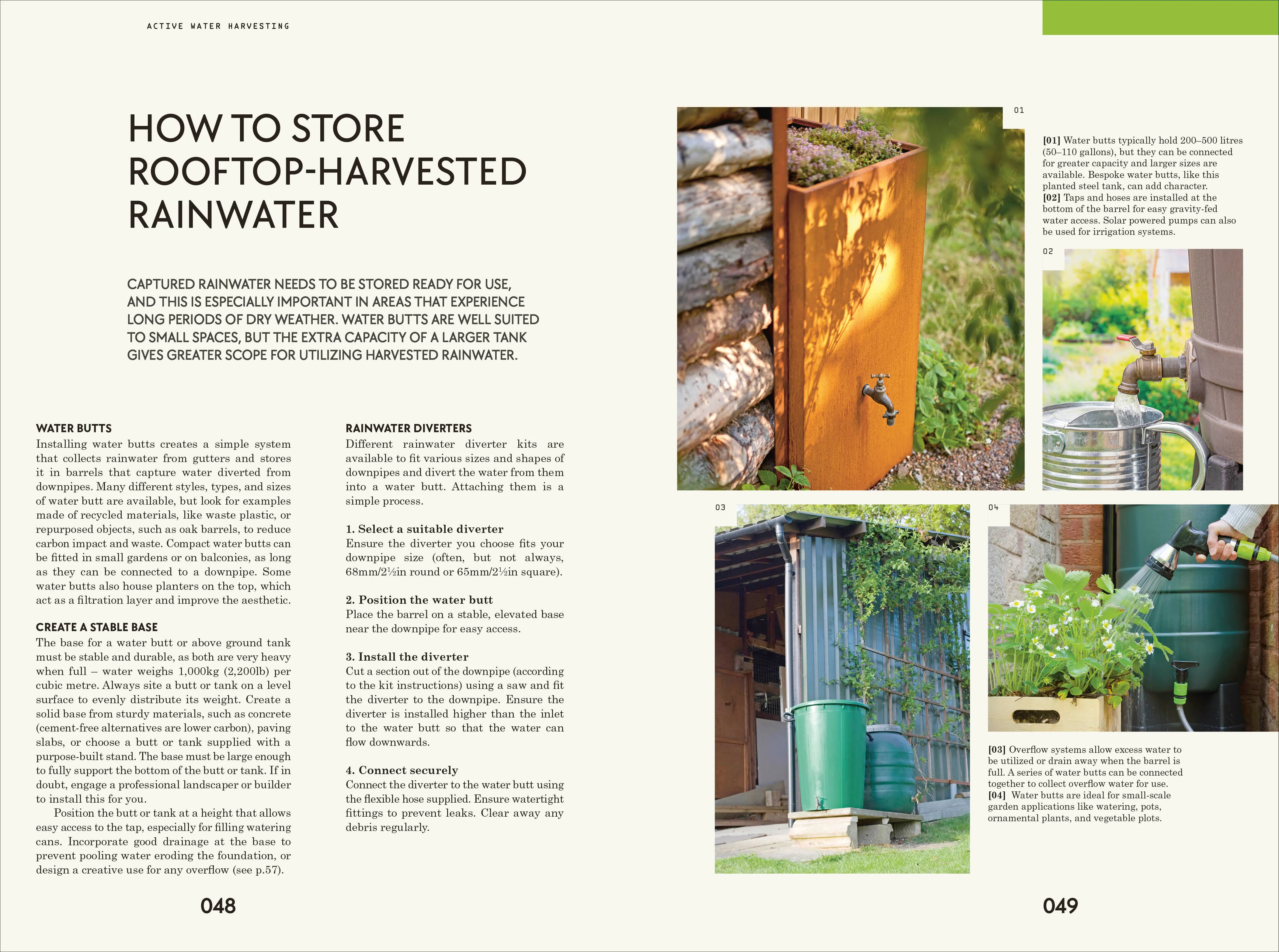 RHS Waterwise Garden - Image 4