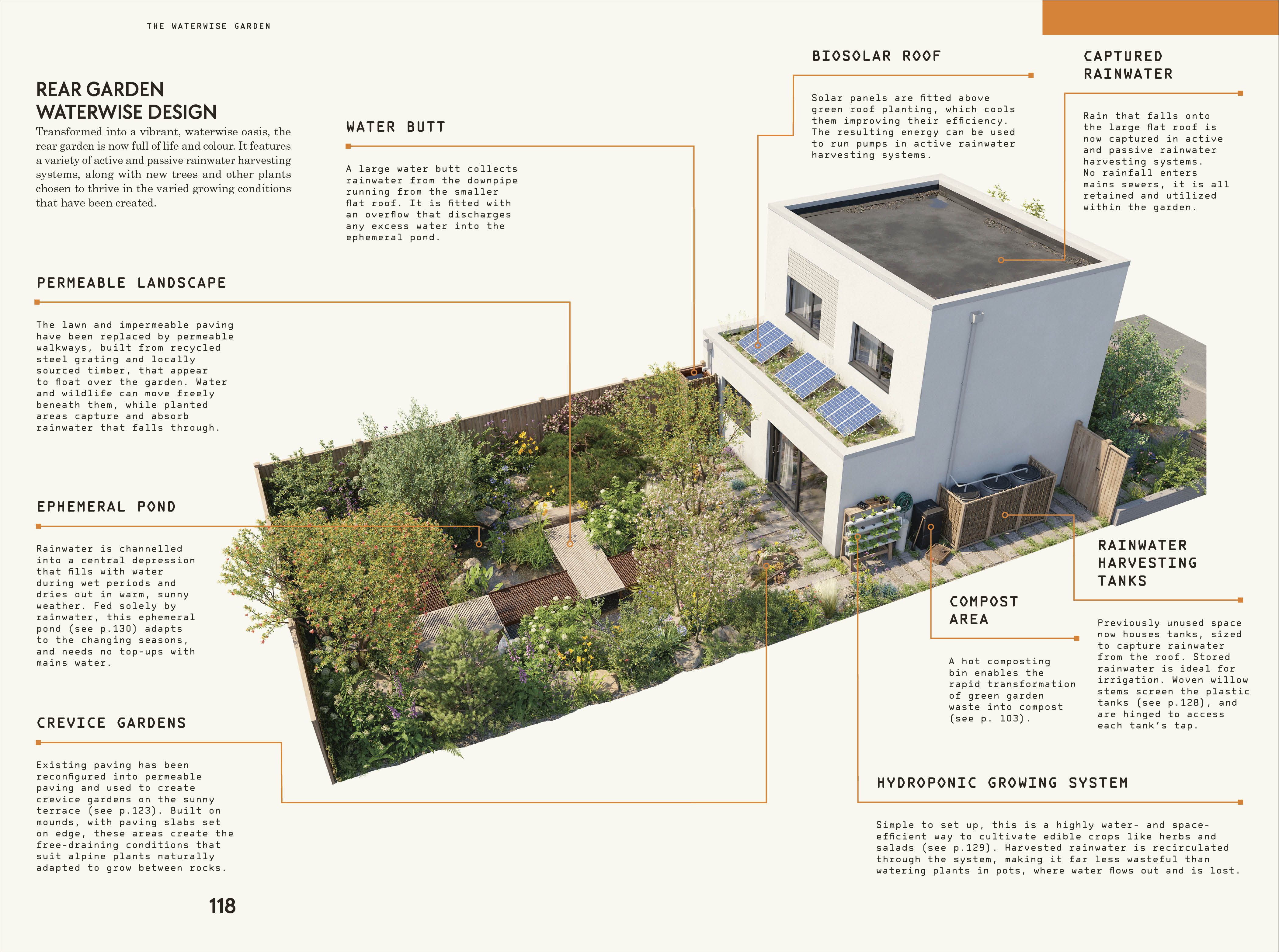 RHS Waterwise Garden - Image 6