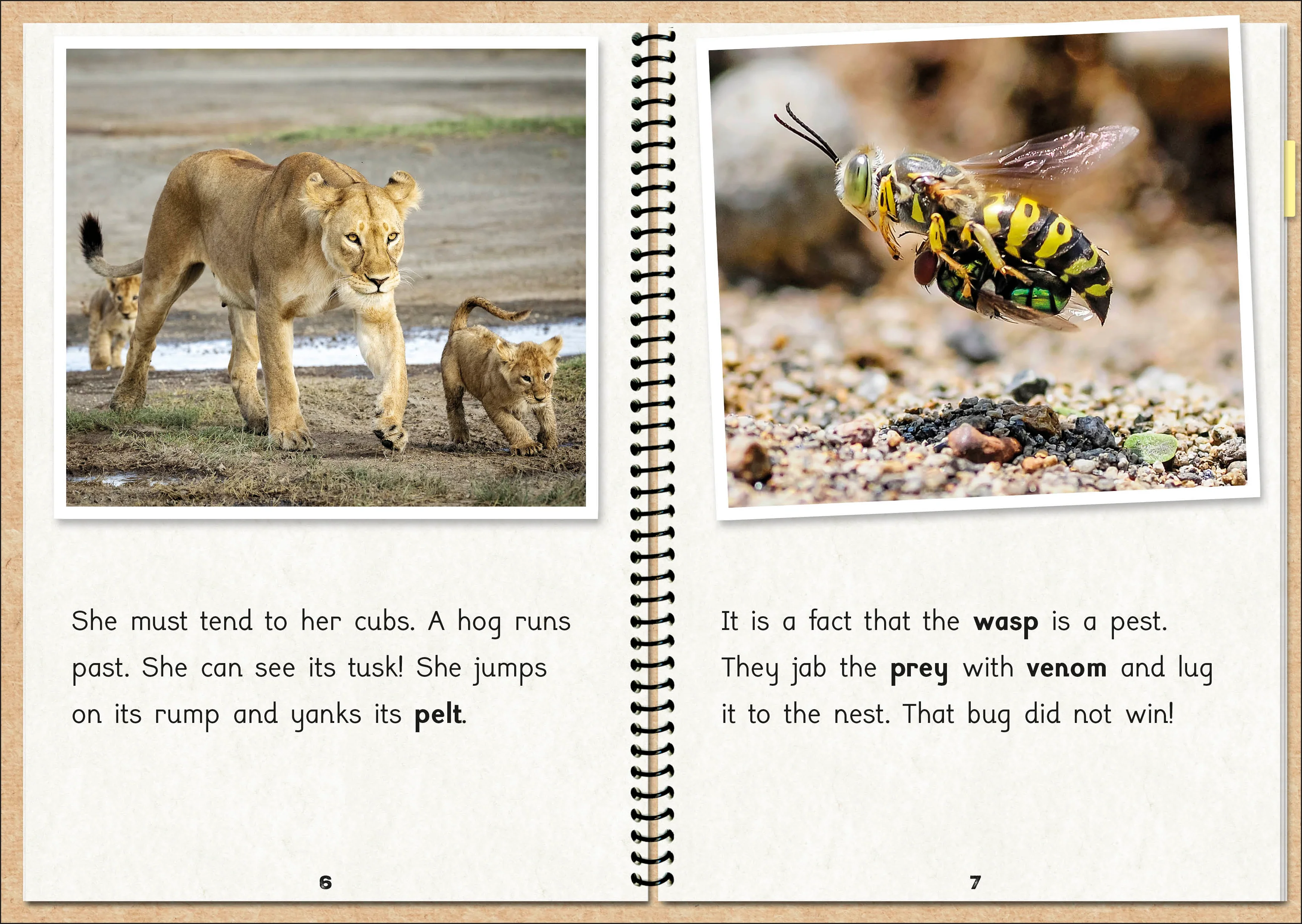 Phonic Books  The Fact Files 1 - Image 2