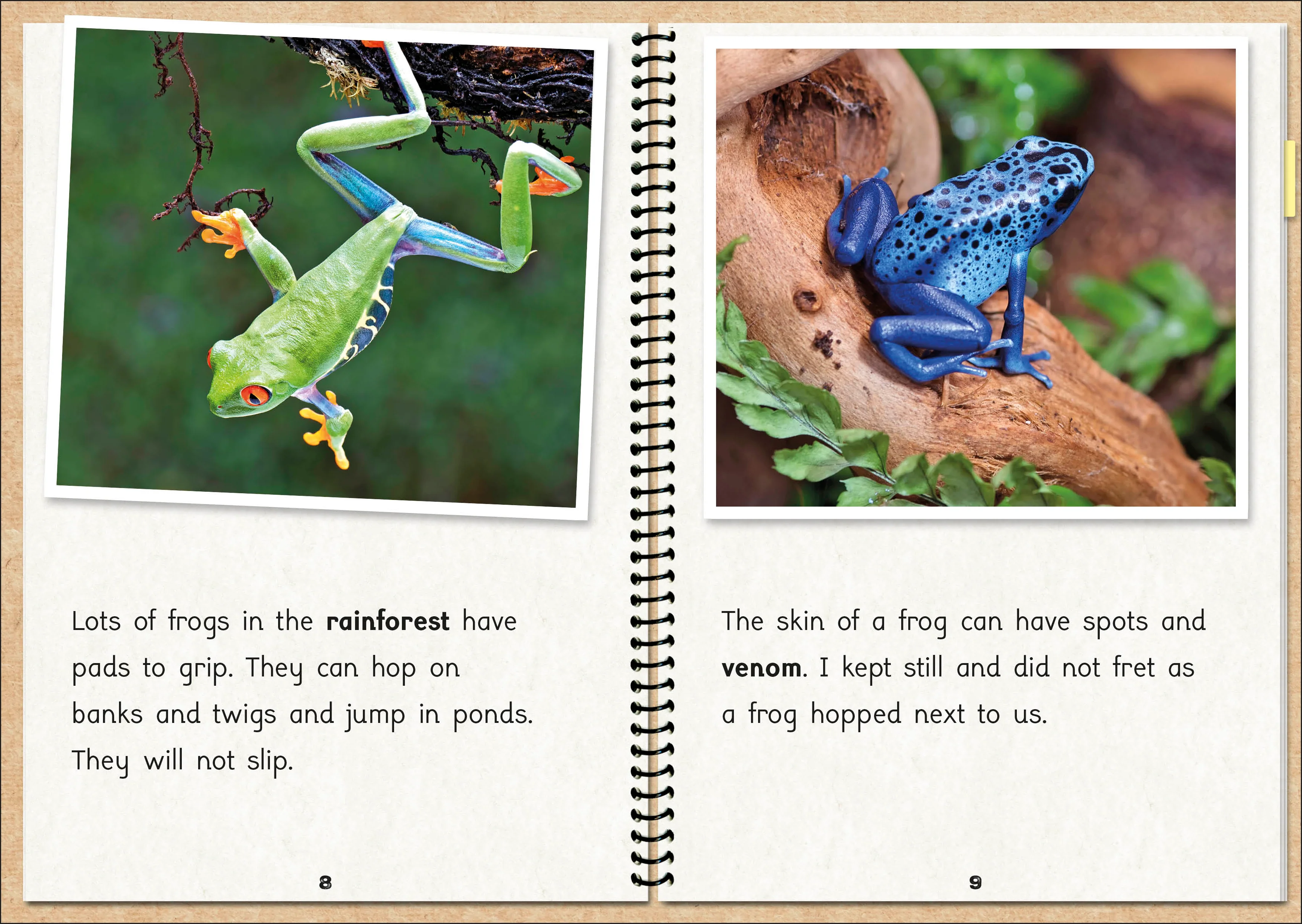 Phonic Books  The Fact Files 1 - Image 3