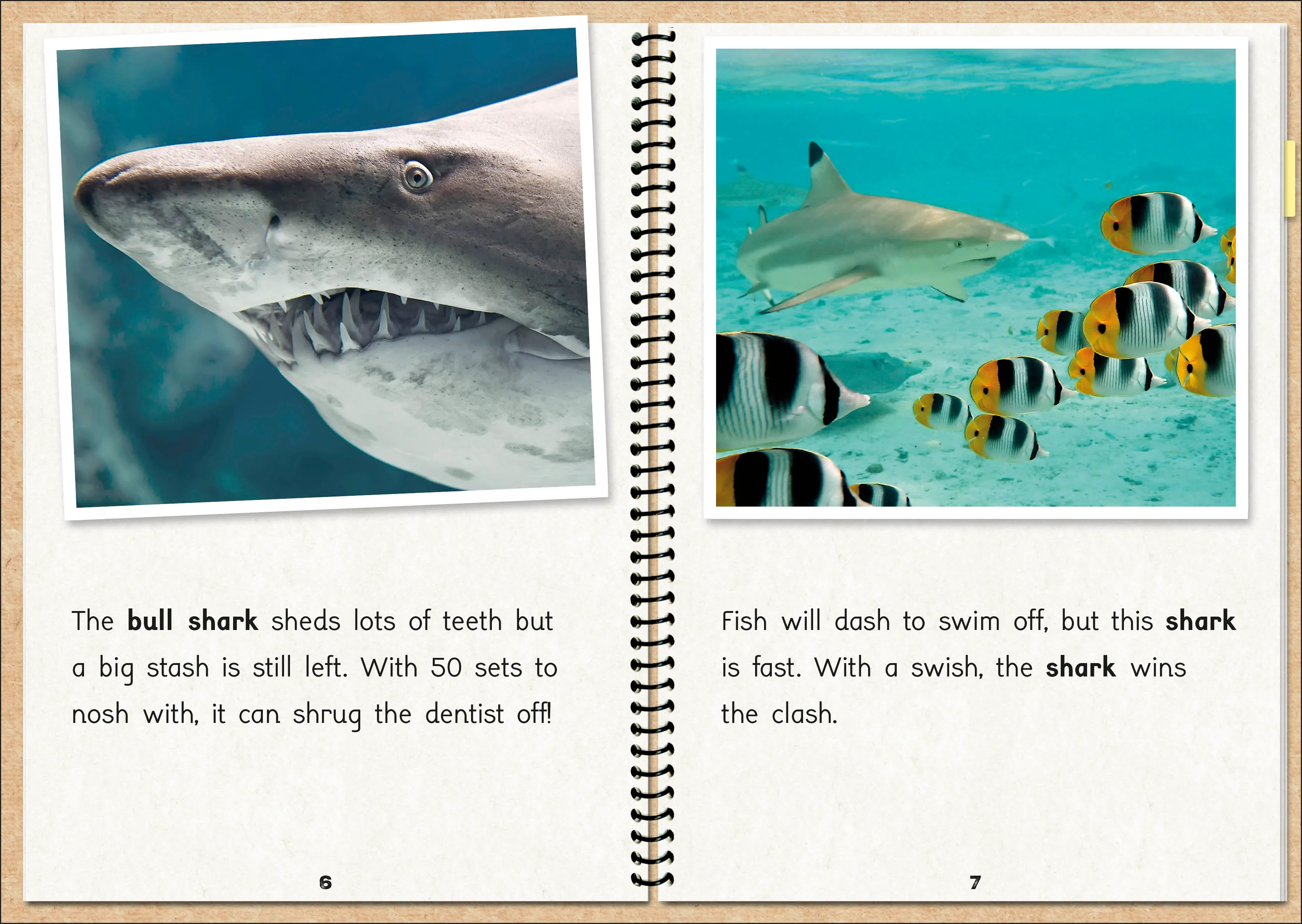 Phonic Books  The Fact Files 1 - Image 4