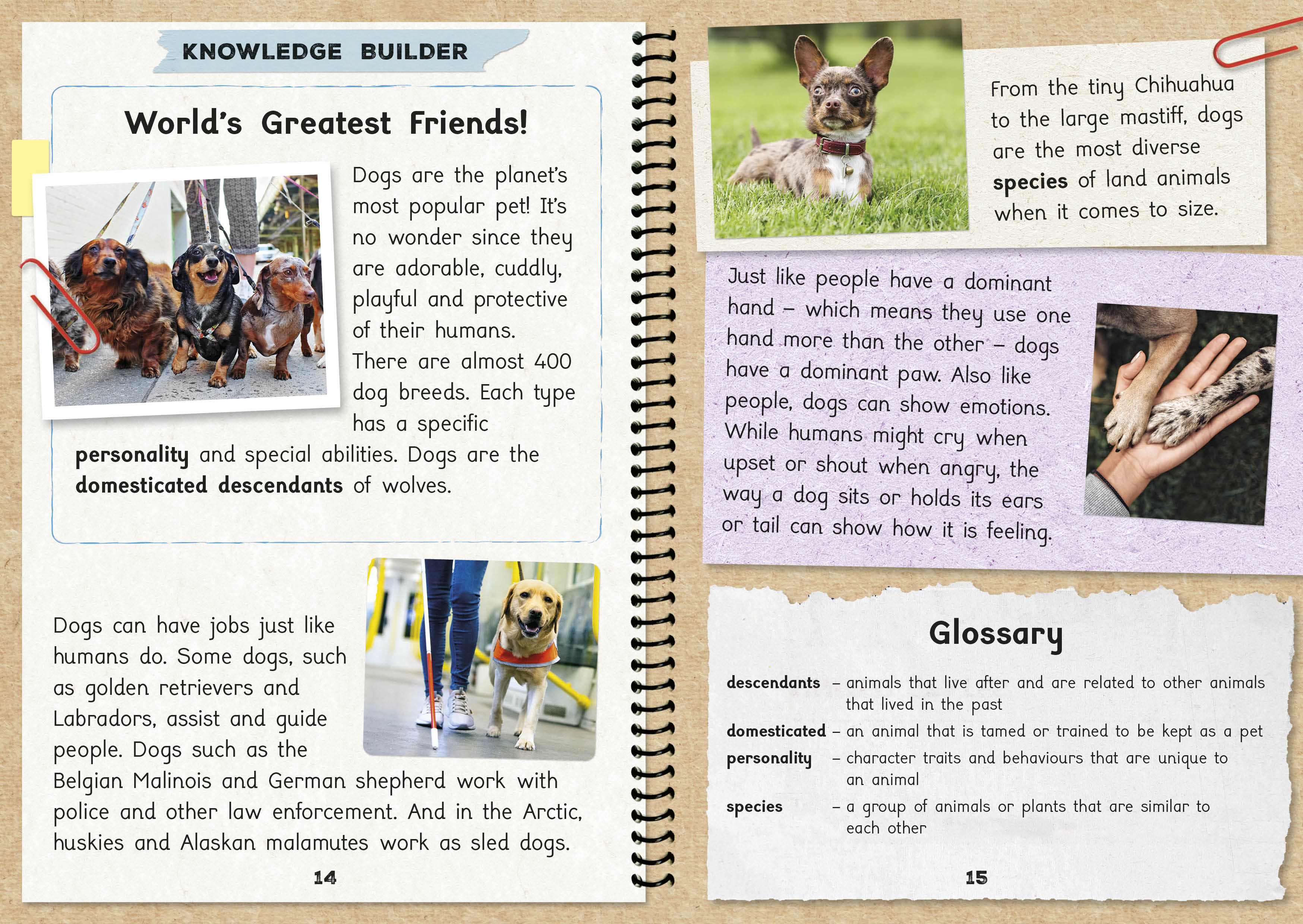 Phonic Books  The Fact Files 1 - Image 6