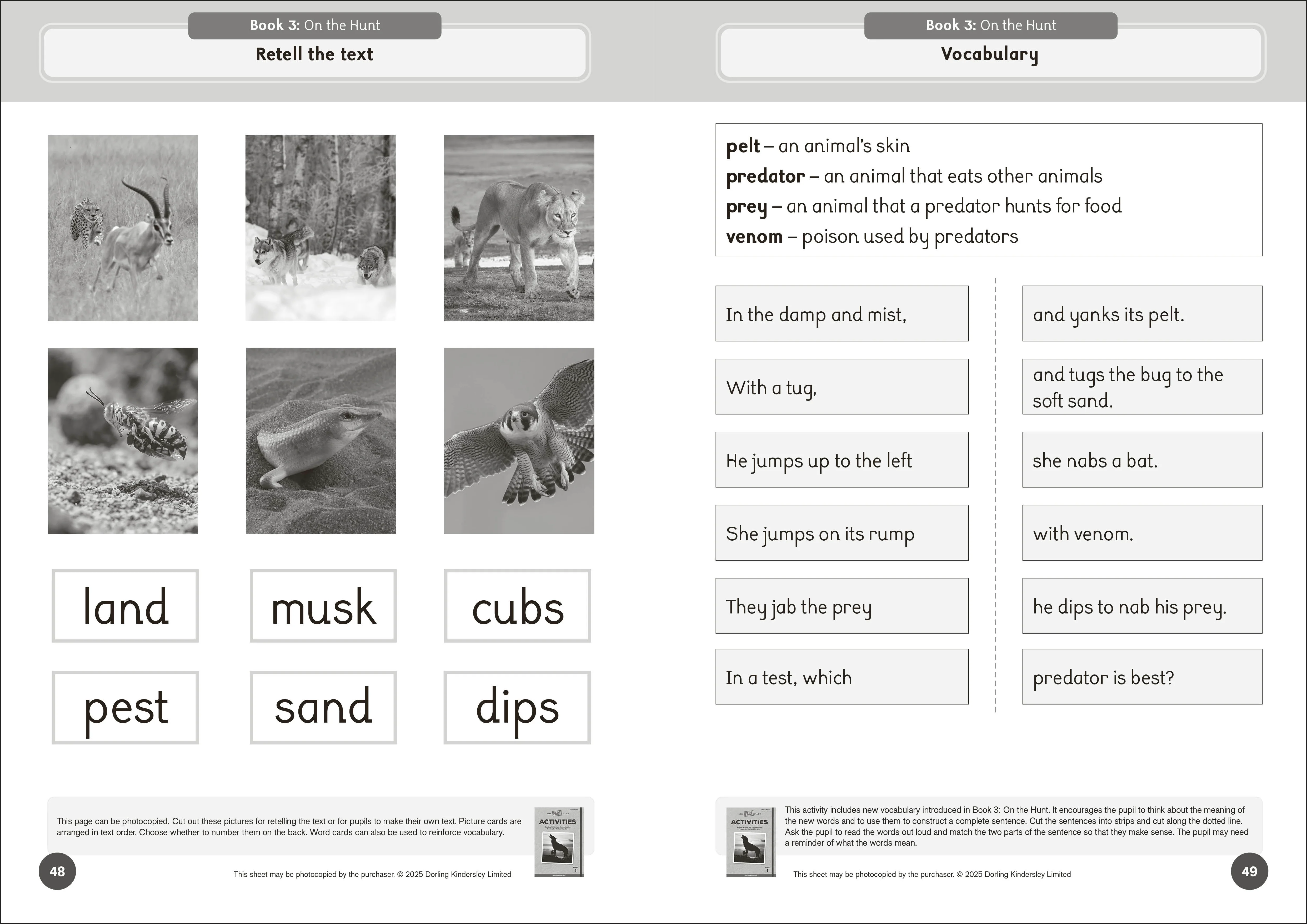Phonic Books The Fact Files 1 Activities - Image 2