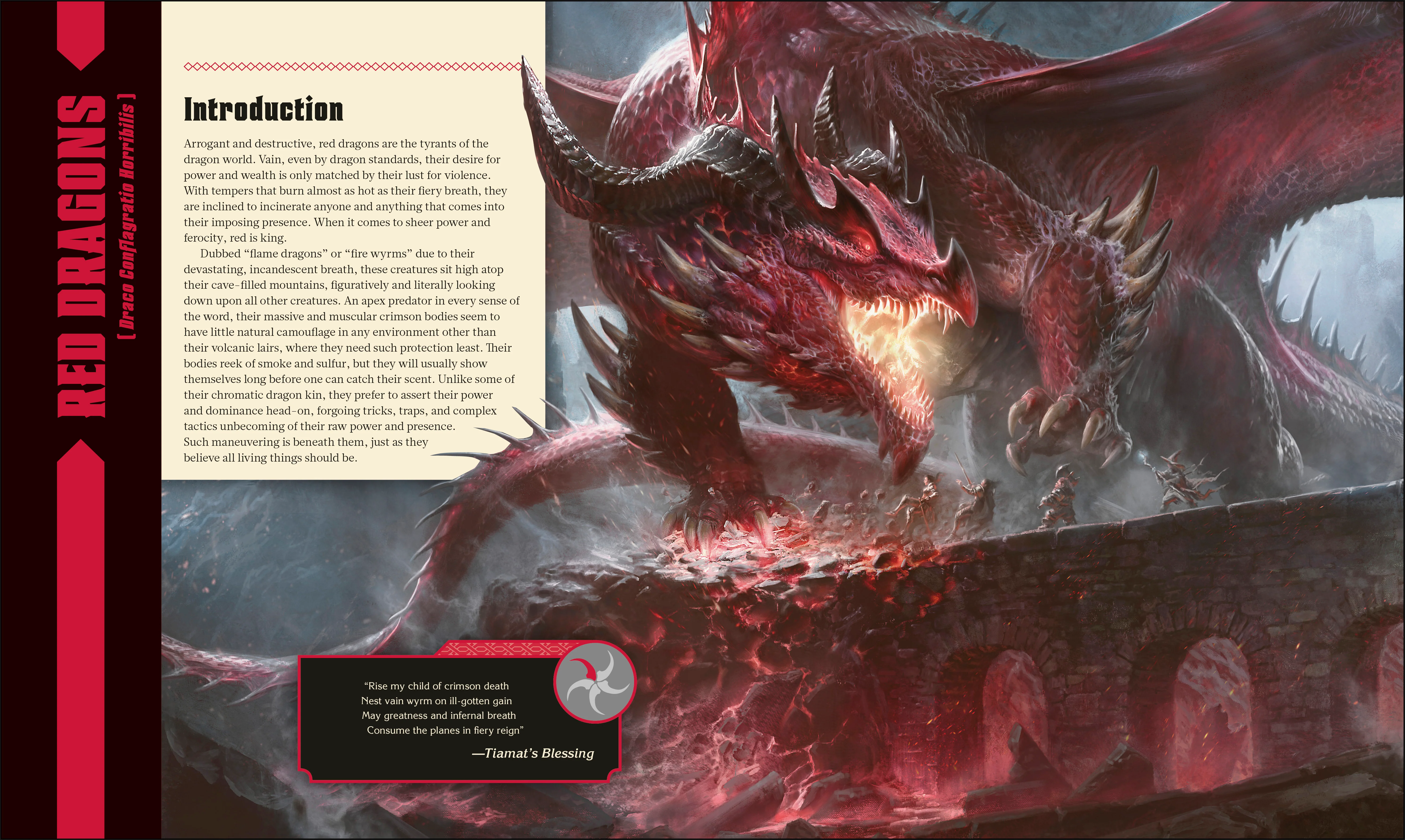 Dungeons & Dragons The Book of Dragons - Image 3