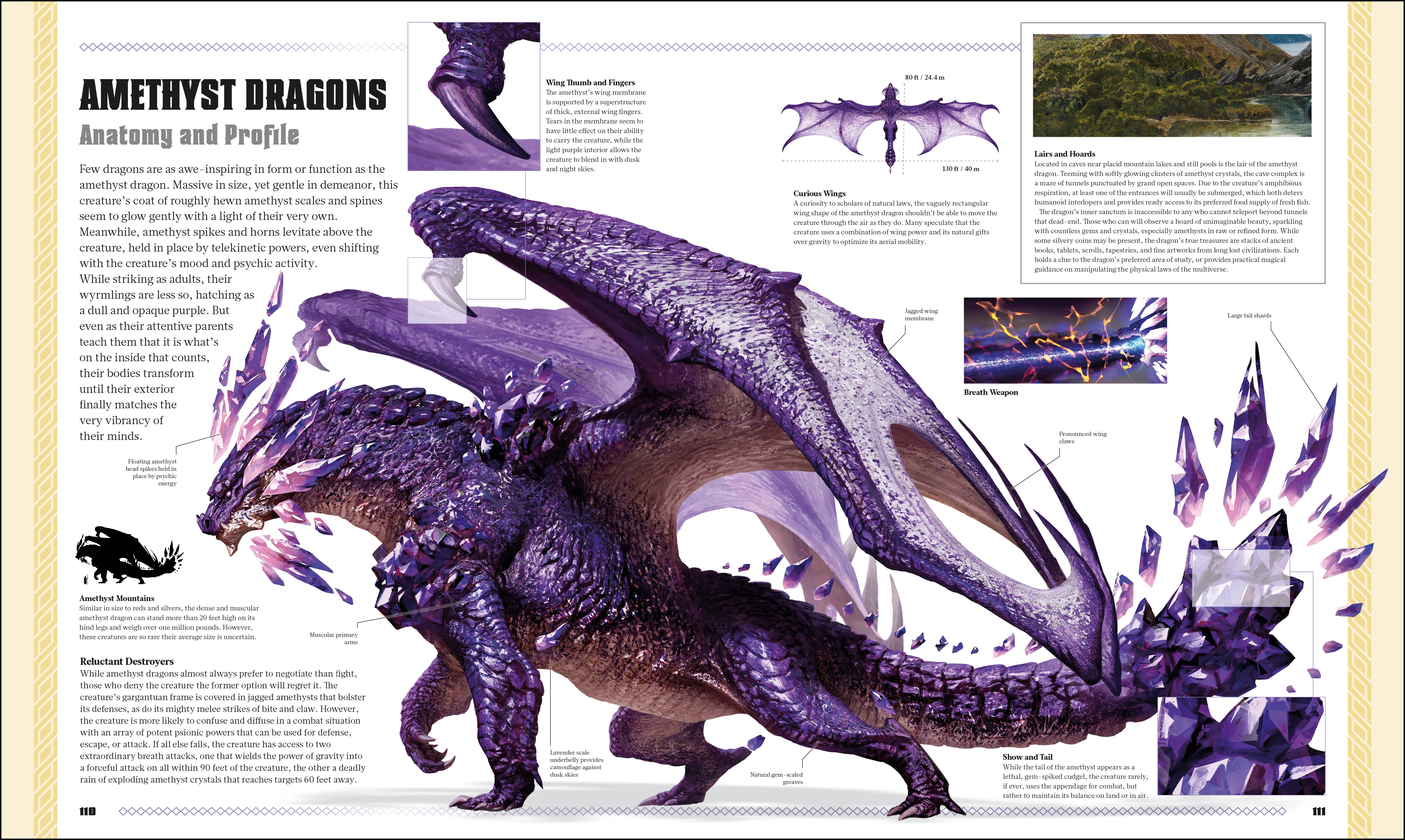 Dungeons & Dragons The Book of Dragons - Image 7