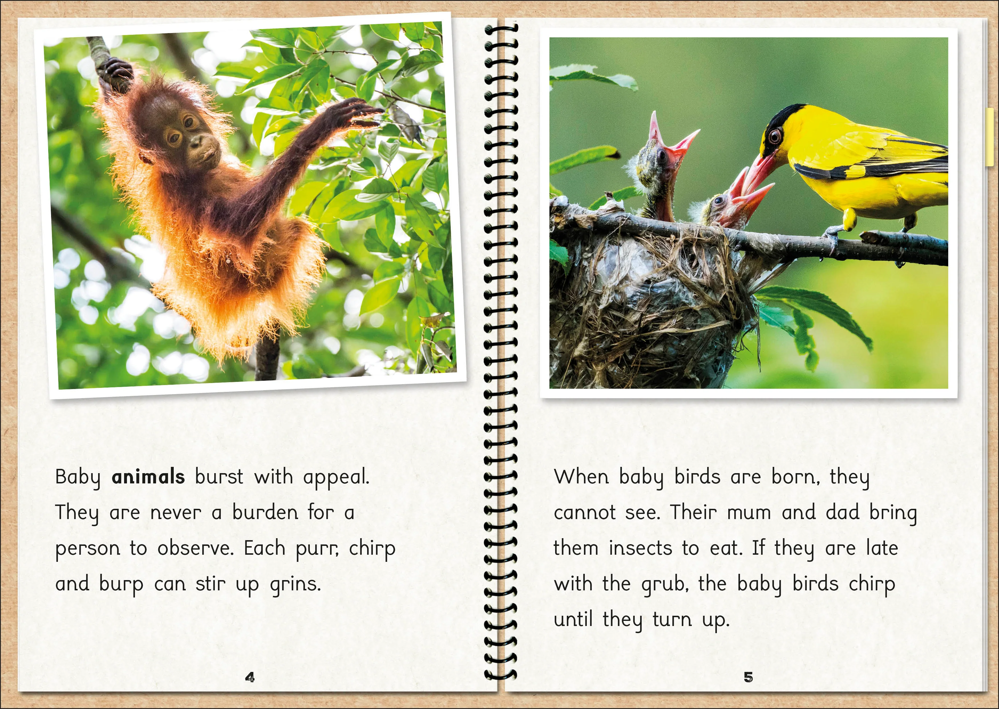 Phonic Books The Fact Files 2 - Image 5
