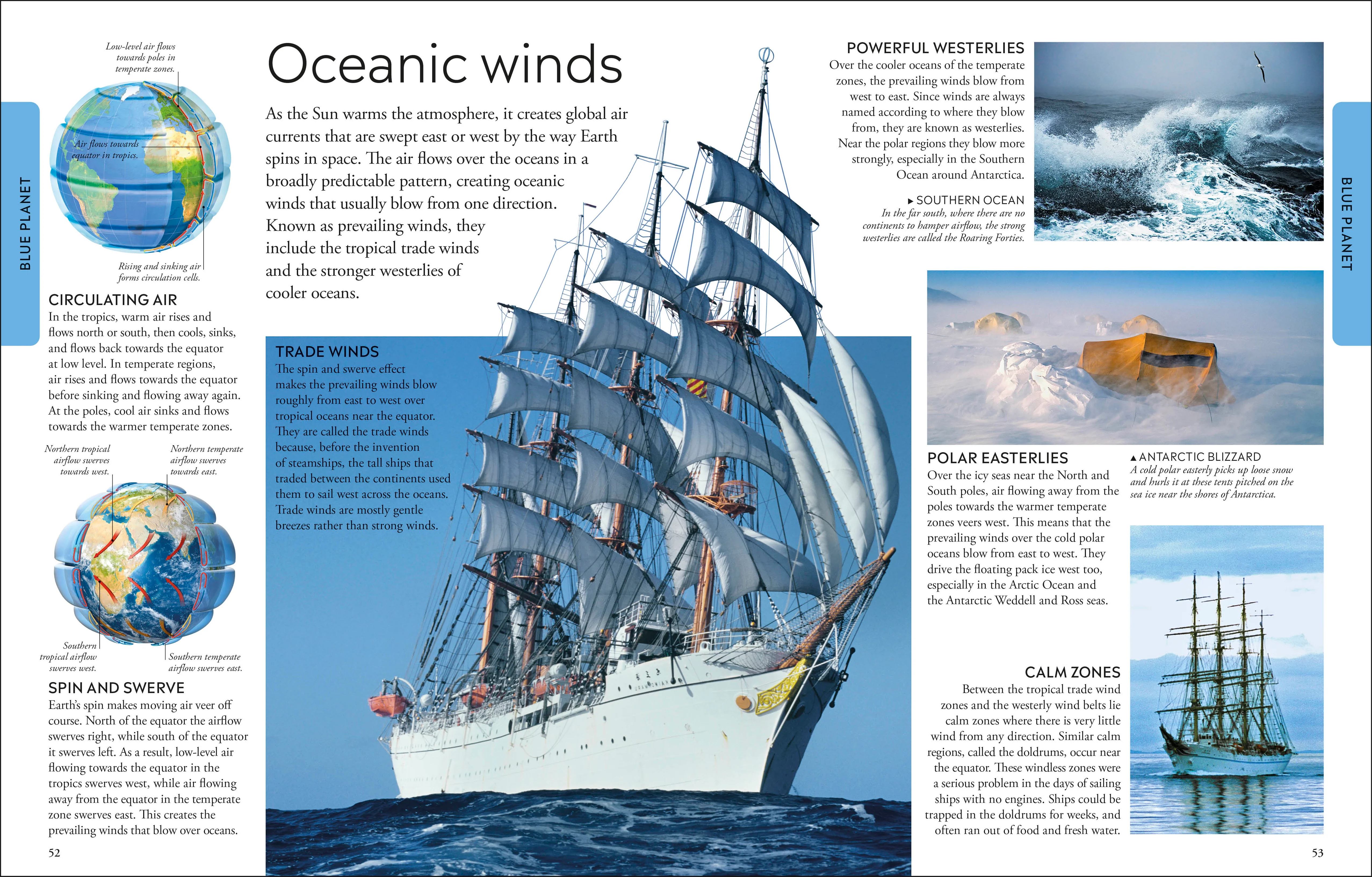 Ocean A Children's Encyclopedia: New Edition - Image 2