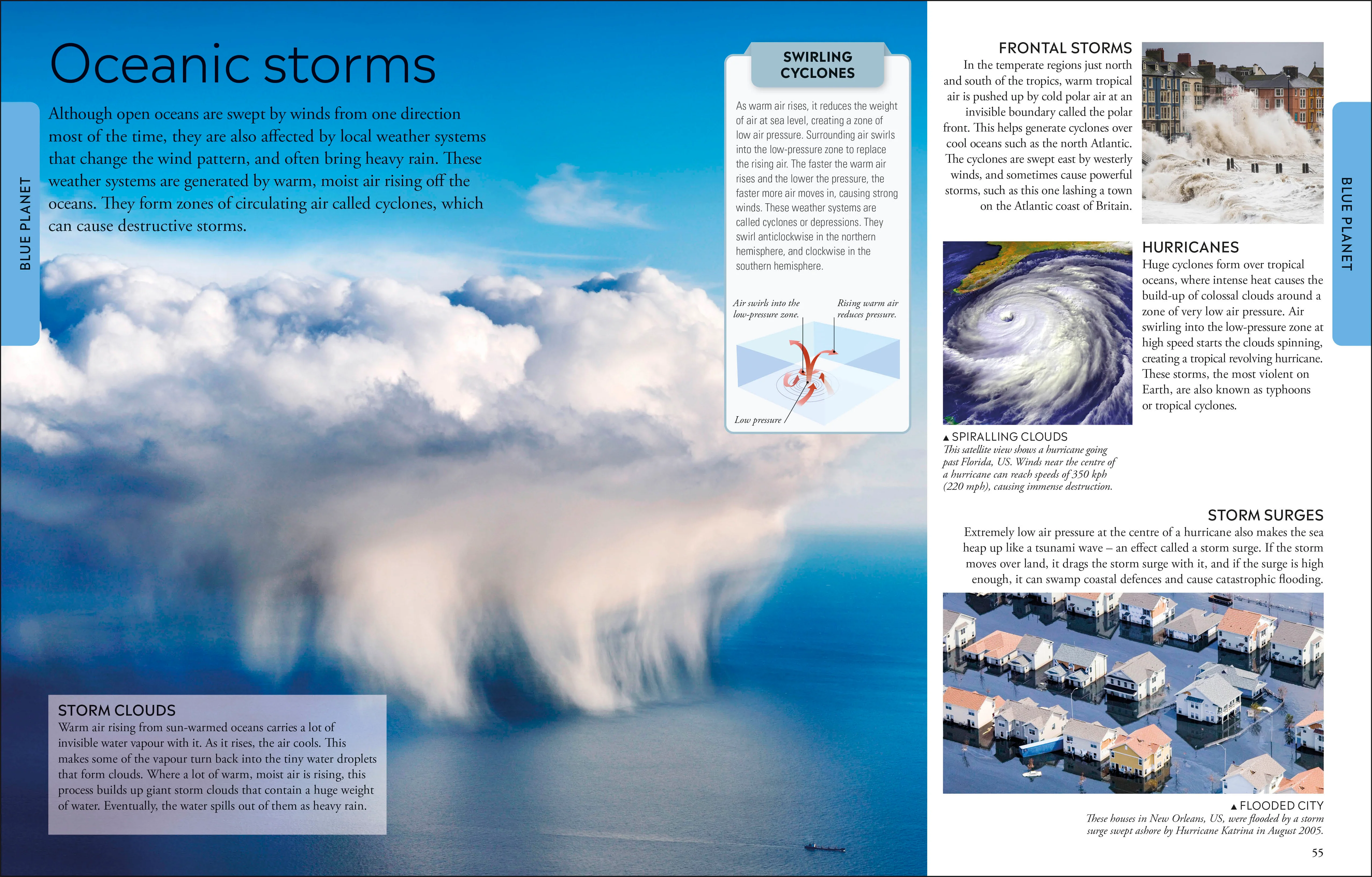 Ocean A Children's Encyclopedia: New Edition - Image 3