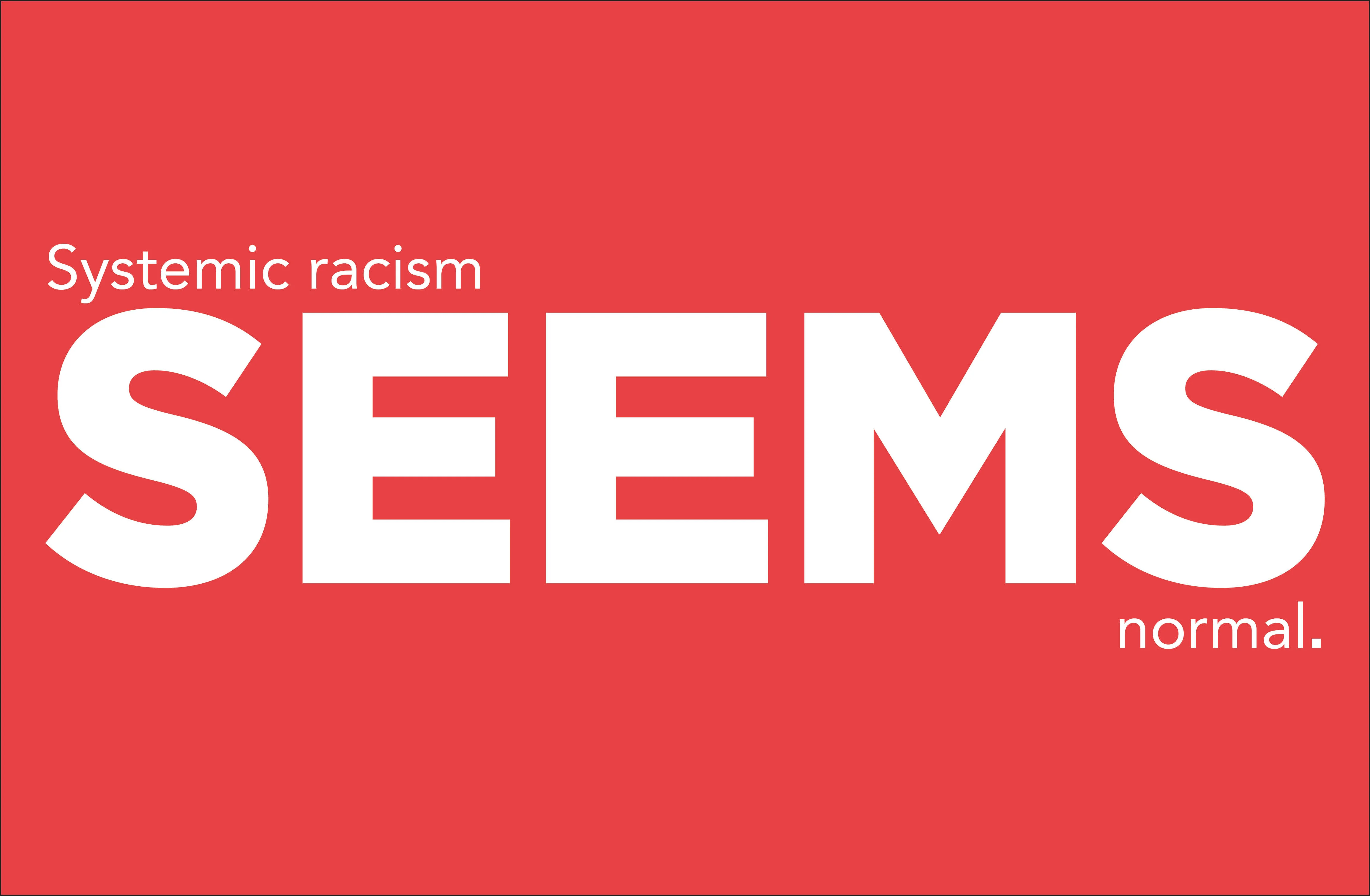 A Kids Book About Systemic Racism - Image 2