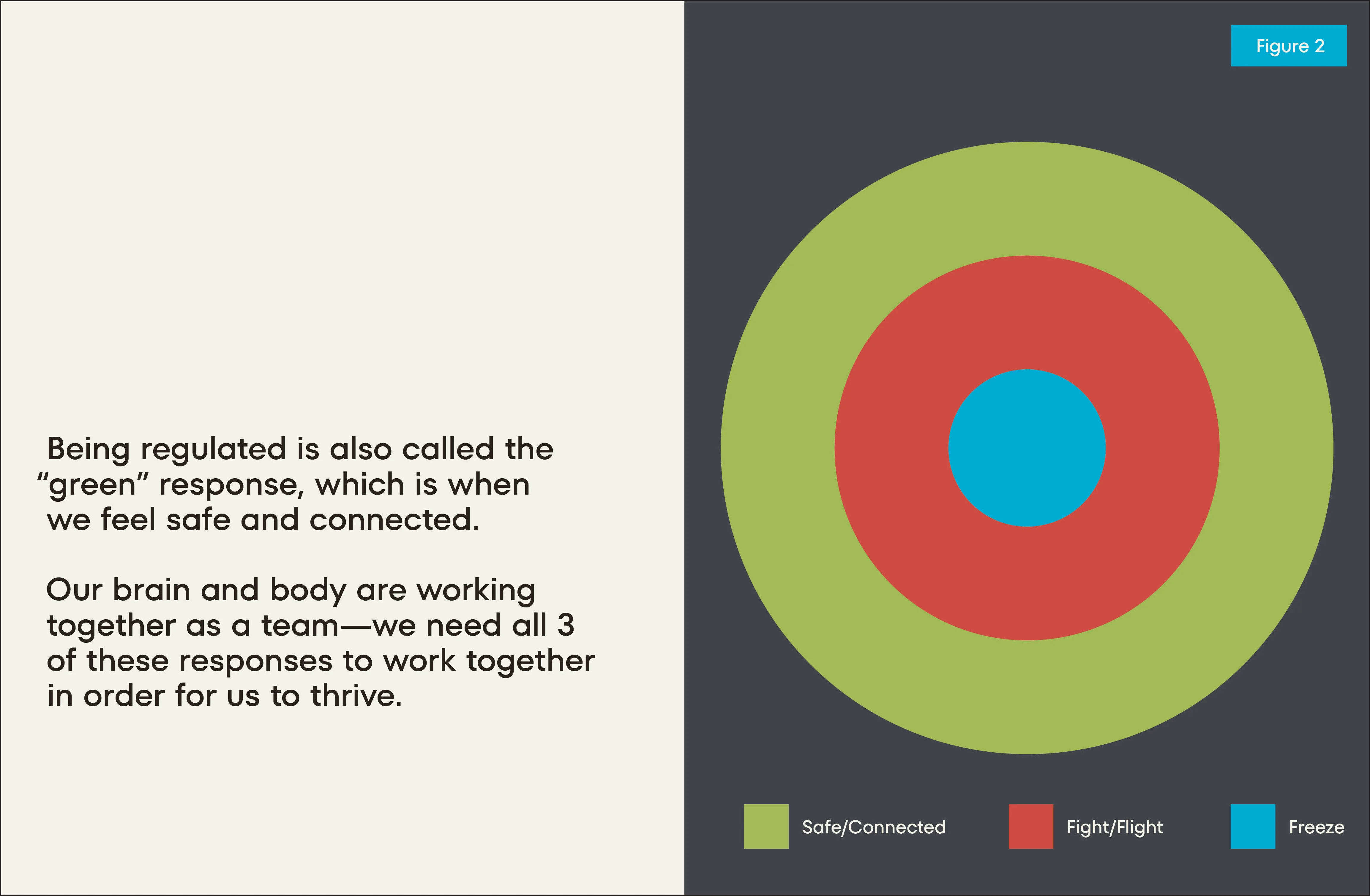 A Kids Book About Nervous System Regulation - Image 4