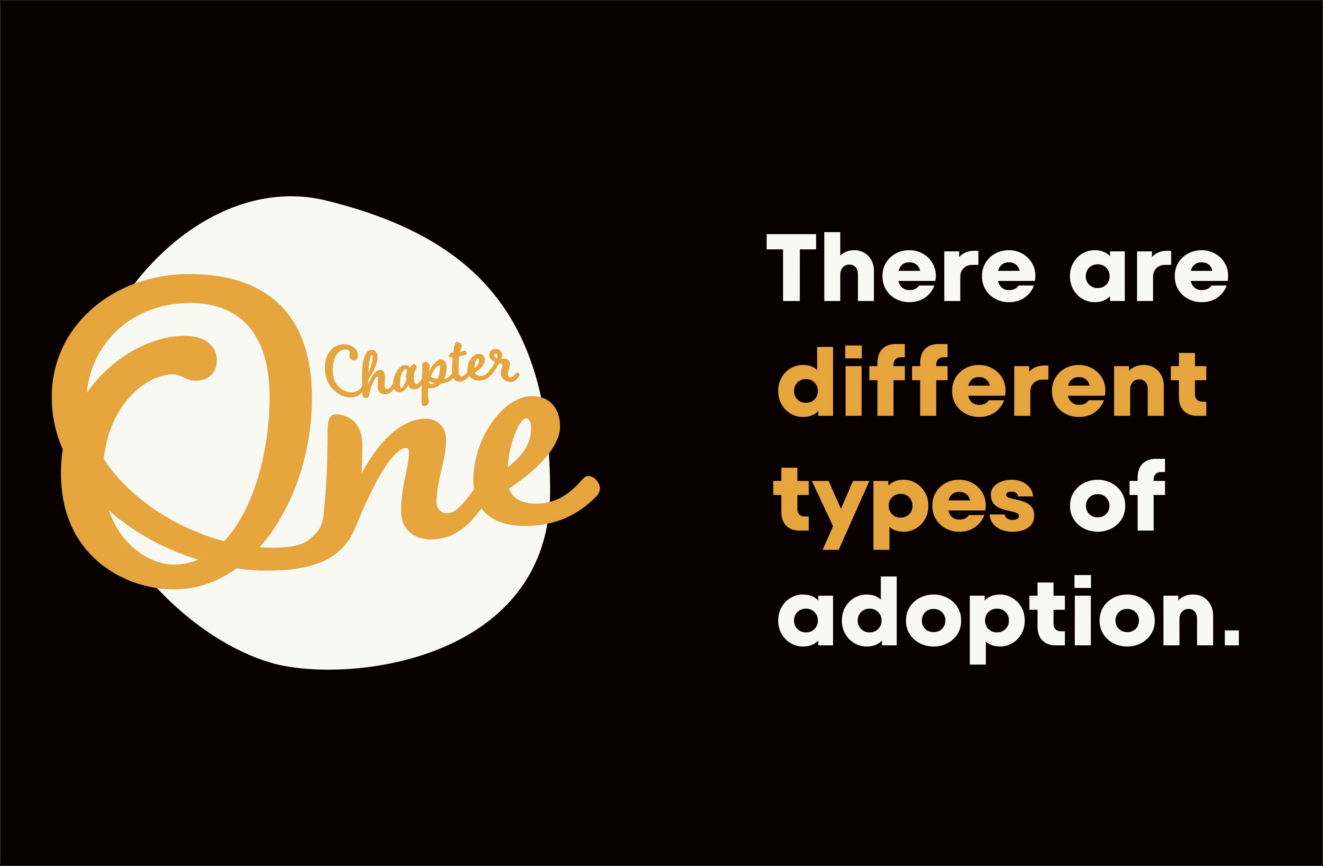 A Kids Book About Adoption - Image 5