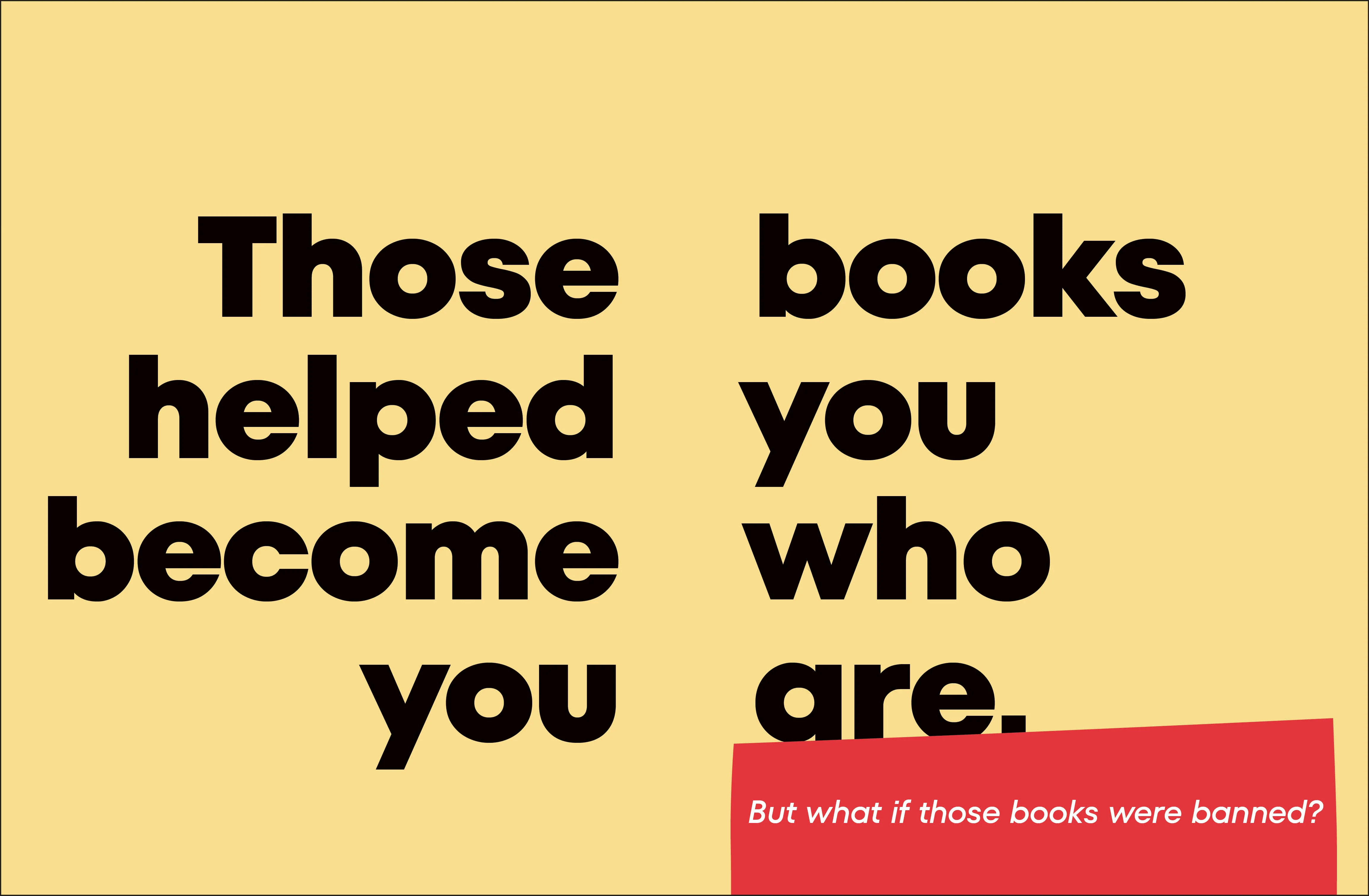 A Kids Book About Banned Books - Image 3