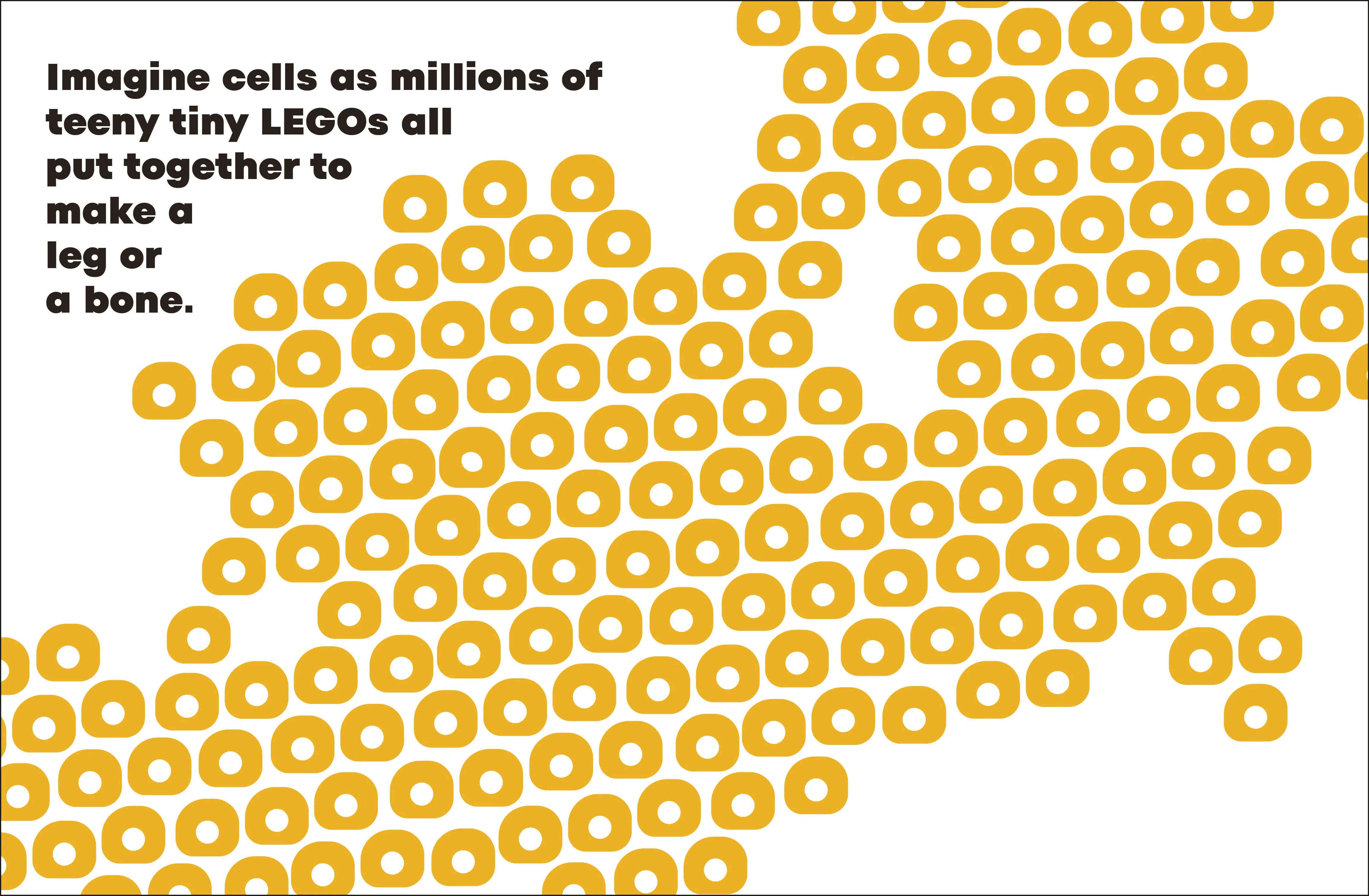 A Kids Book About Cancer - Image 3