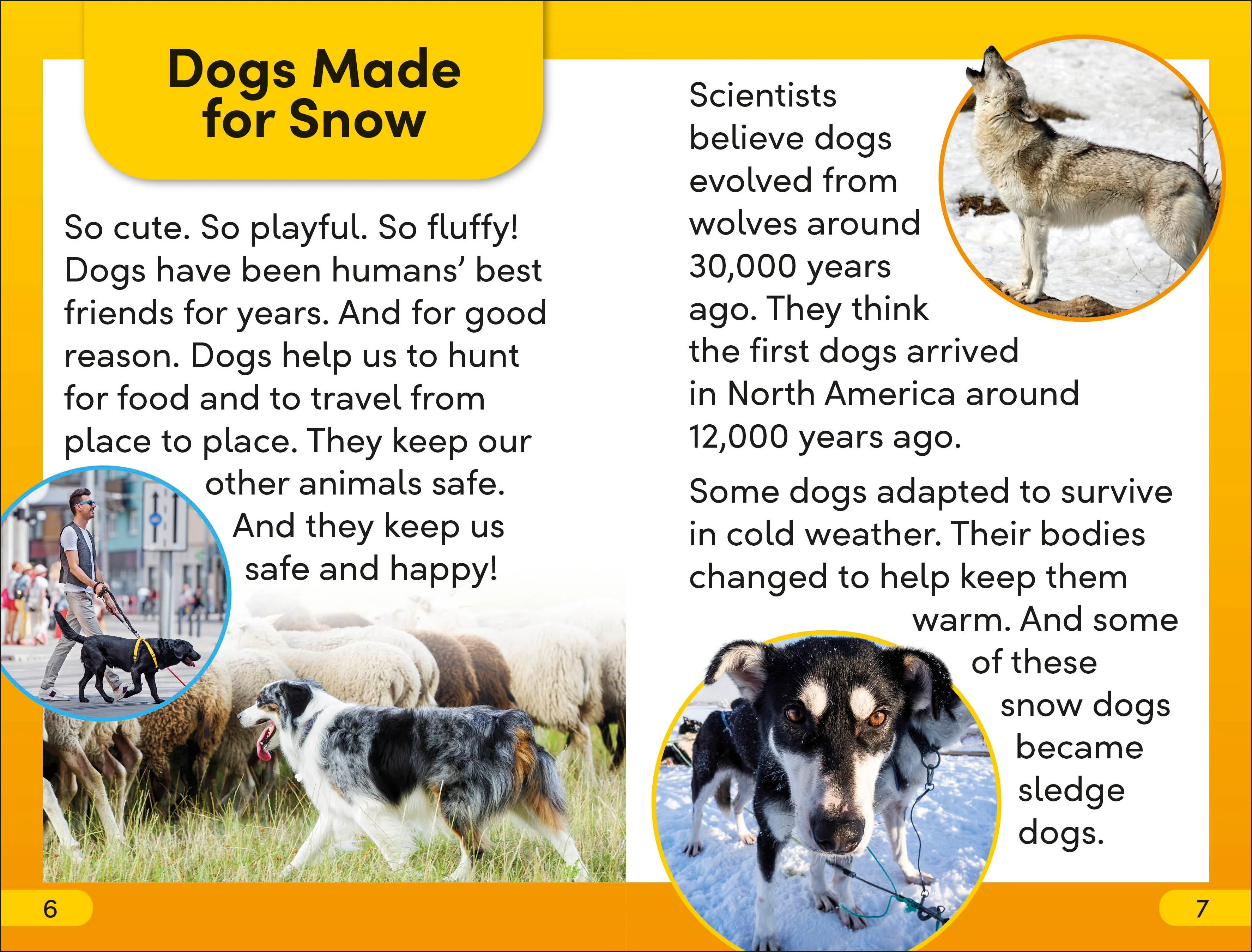 DK Super Readers Level 2 Snow Dogs - Image 2