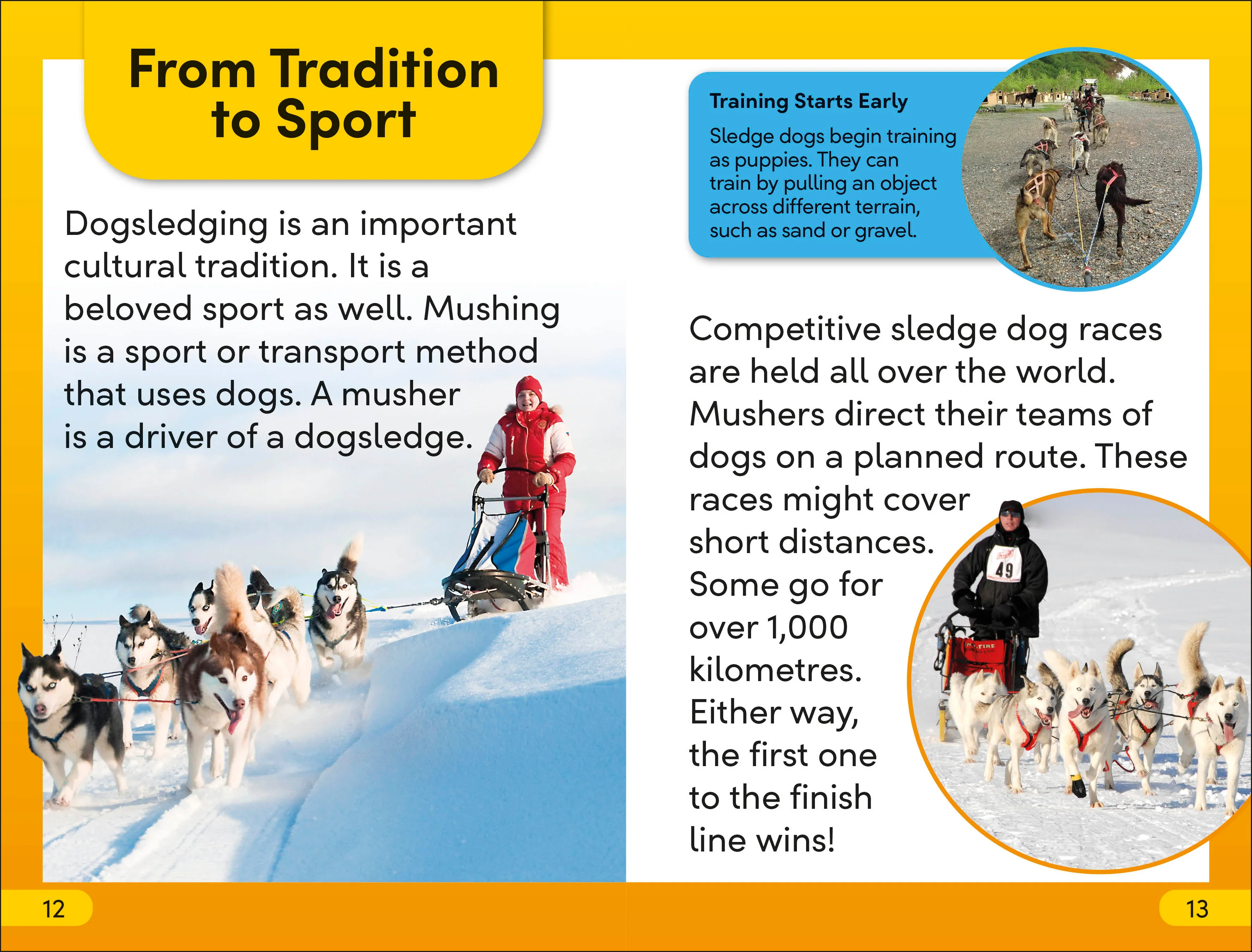 DK Super Readers Level 2 Snow Dogs - Image 3
