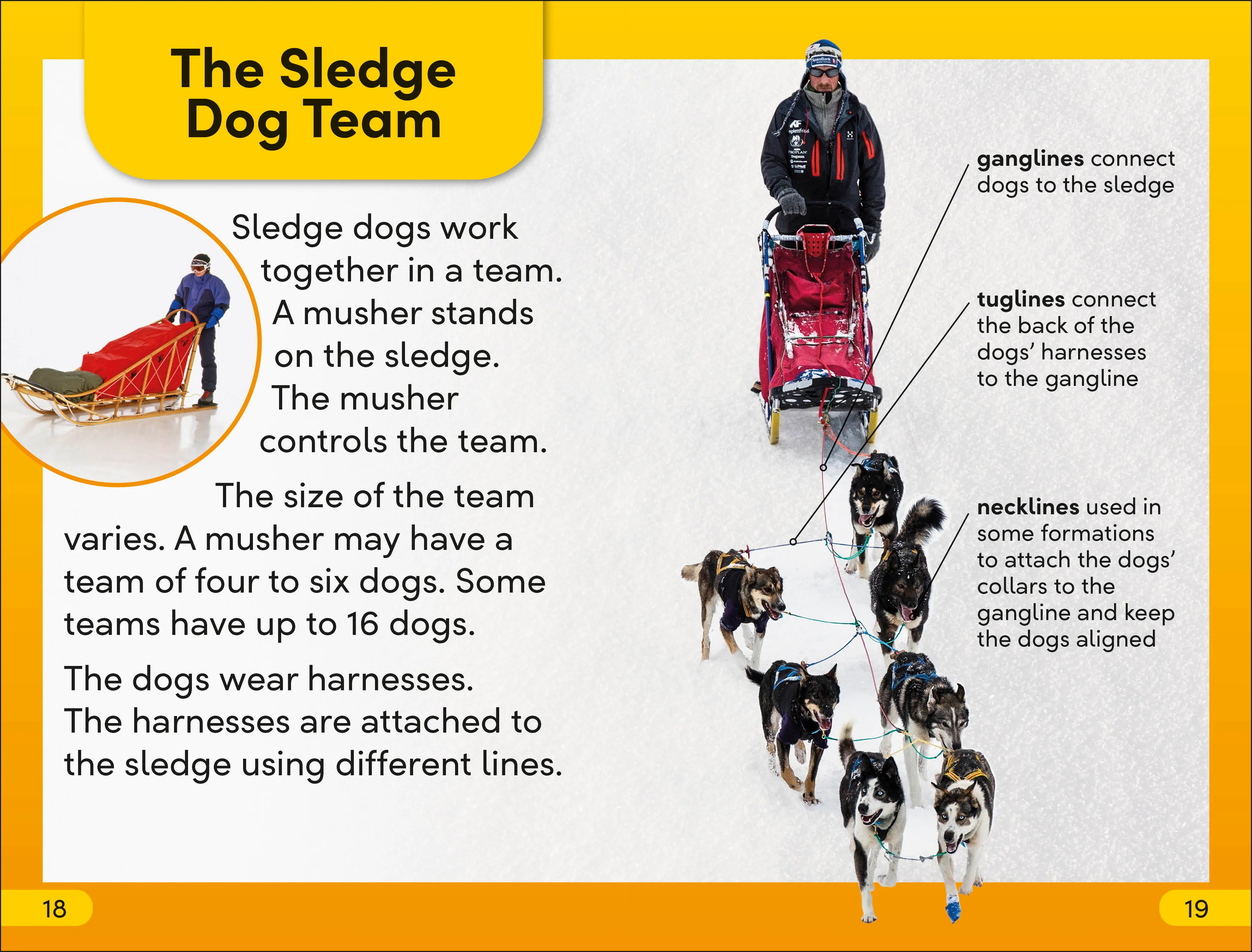 DK Super Readers Level 2 Snow Dogs - Image 4