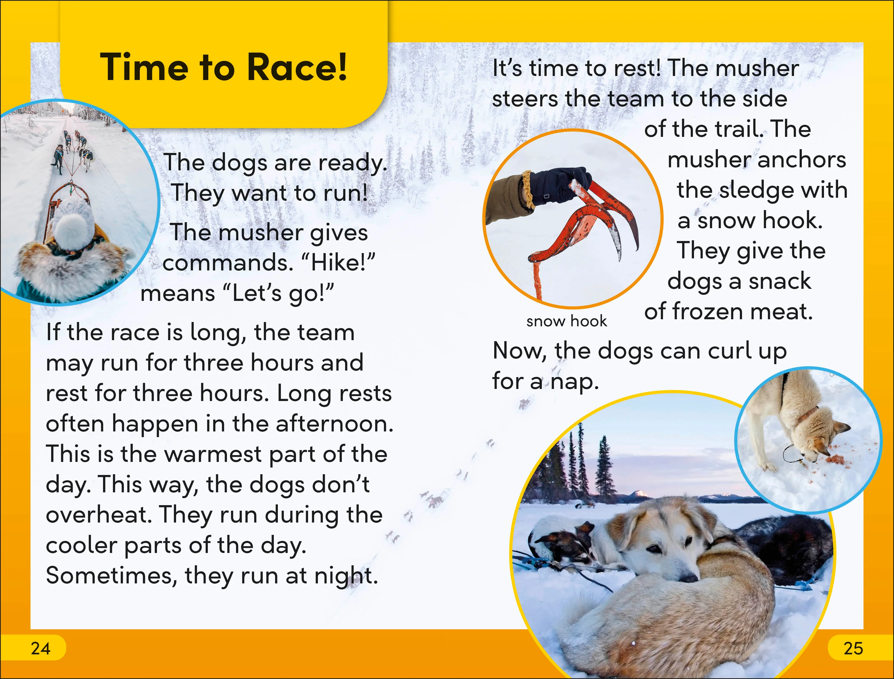 DK Super Readers Level 2 Snow Dogs - Image 5