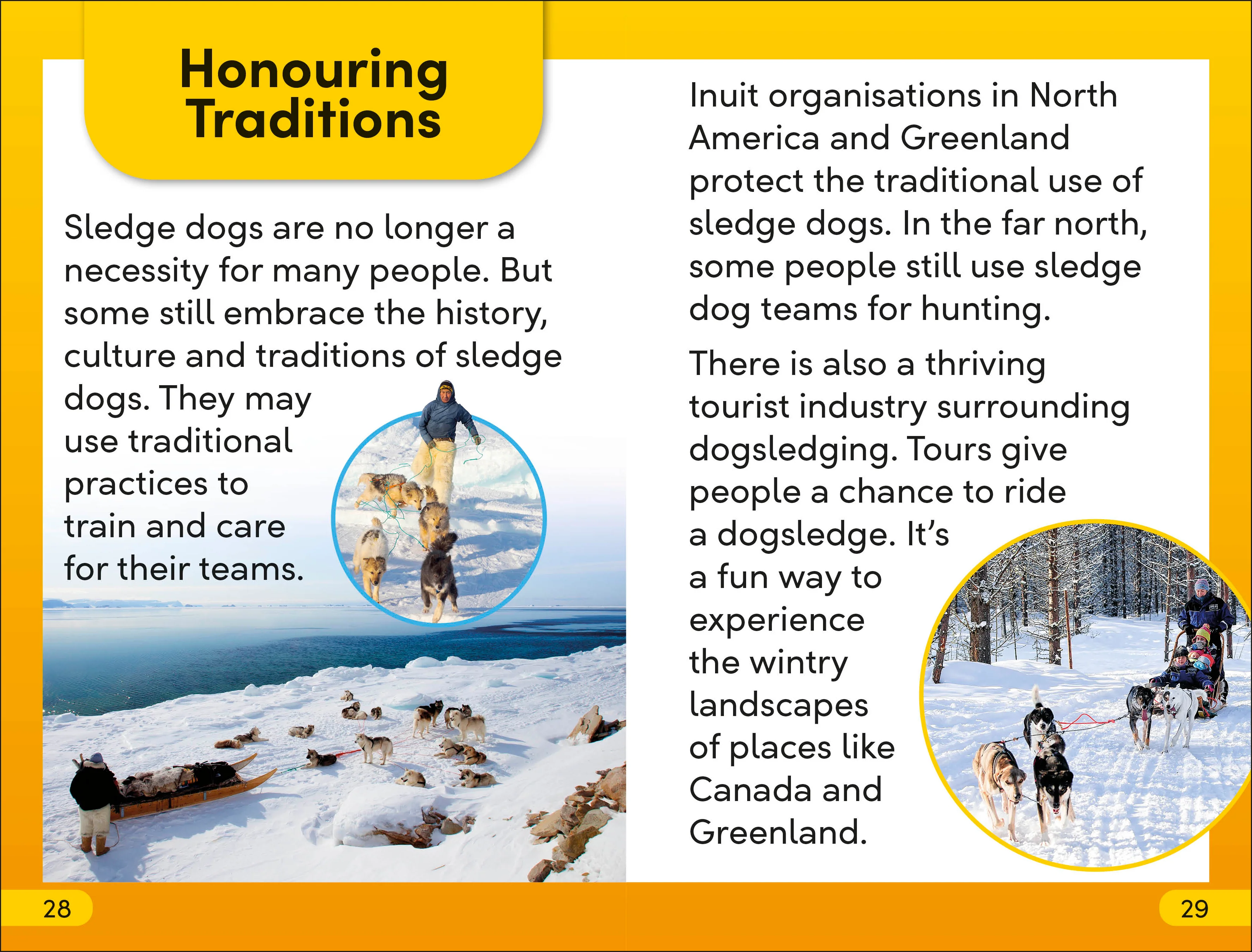 DK Super Readers Level 2 Snow Dogs - Image 6