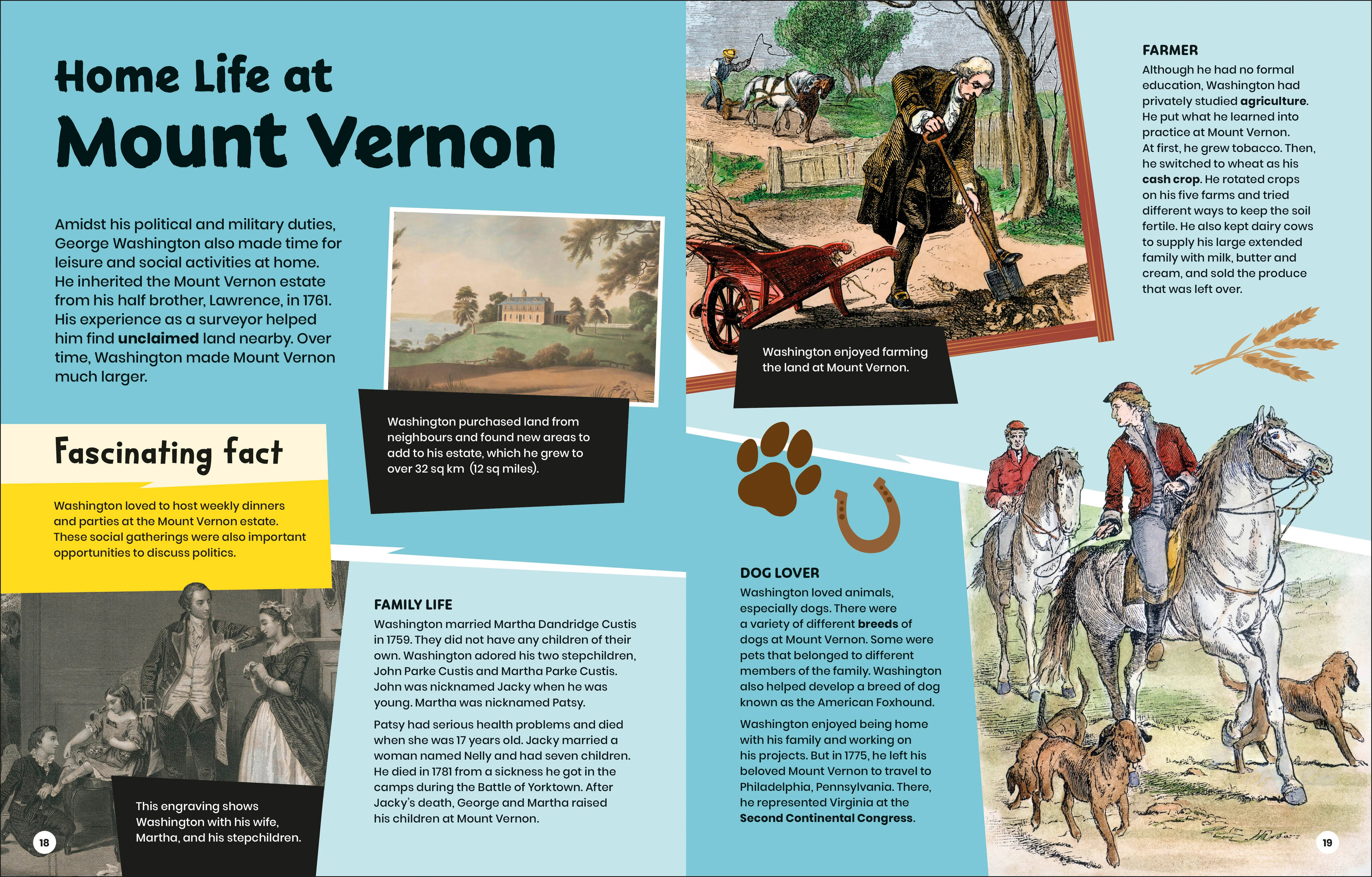 DK Super History George Washington and the American Revolution - Image 3