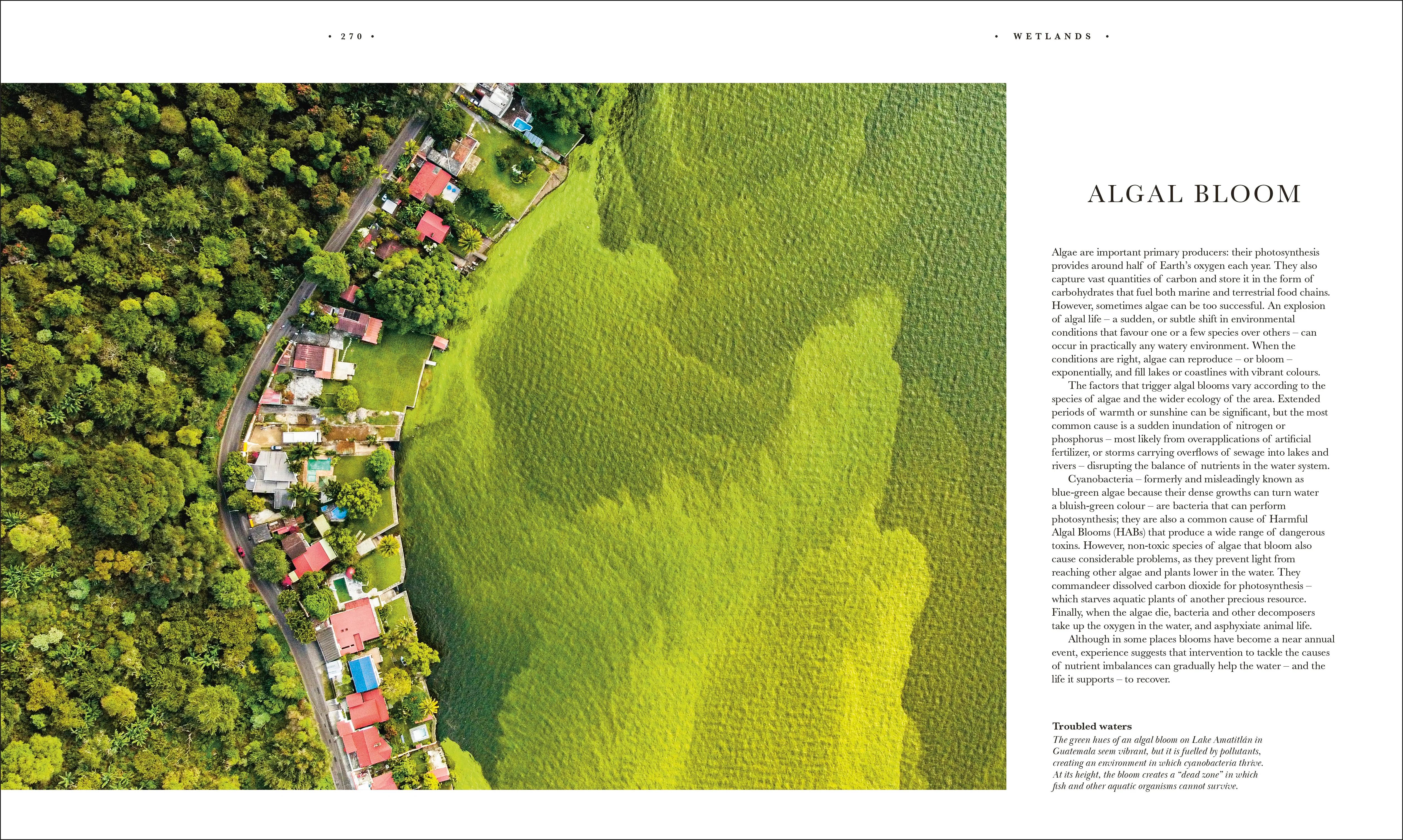 Atlas of Botany - Image 14
