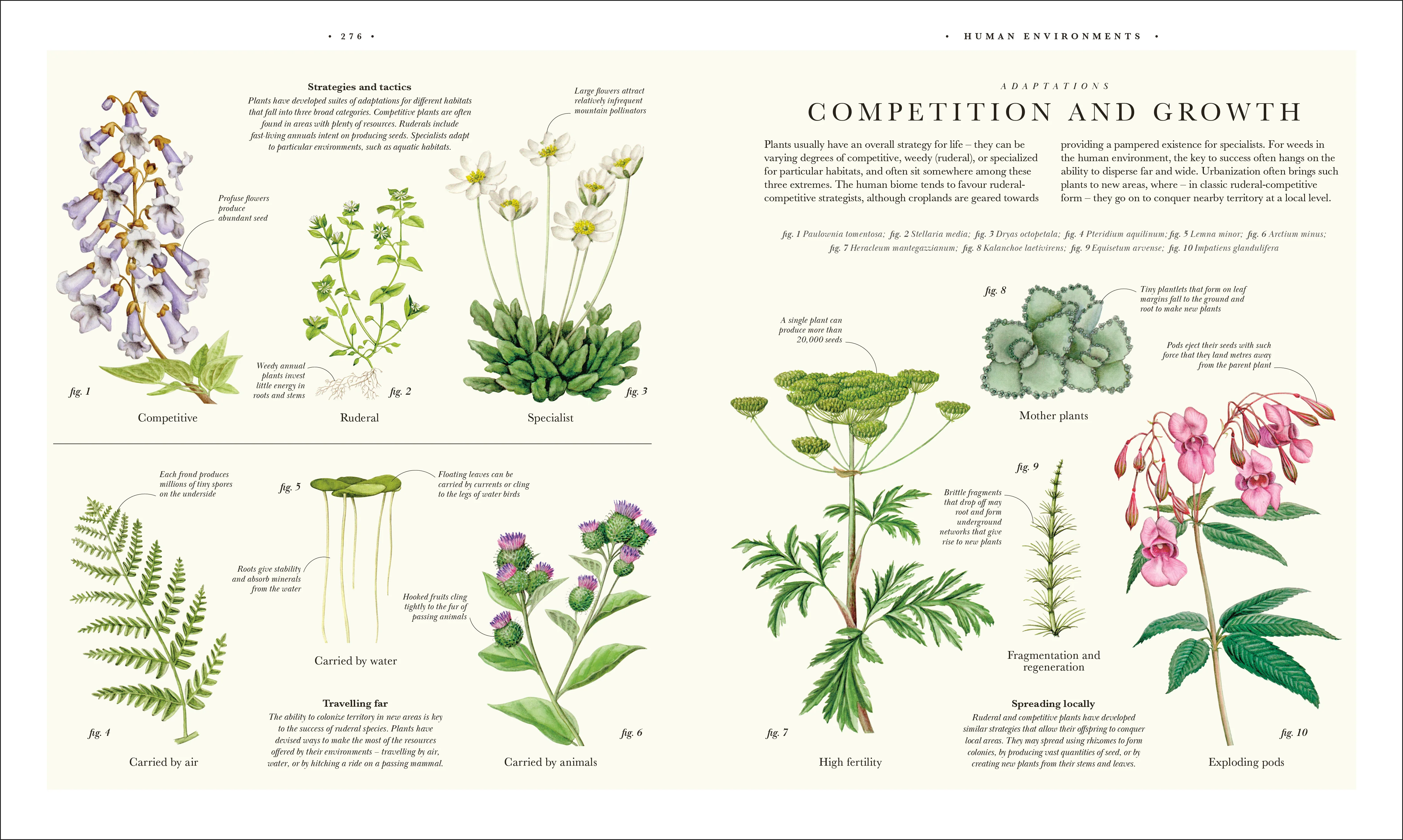 Atlas of Botany - Image 15