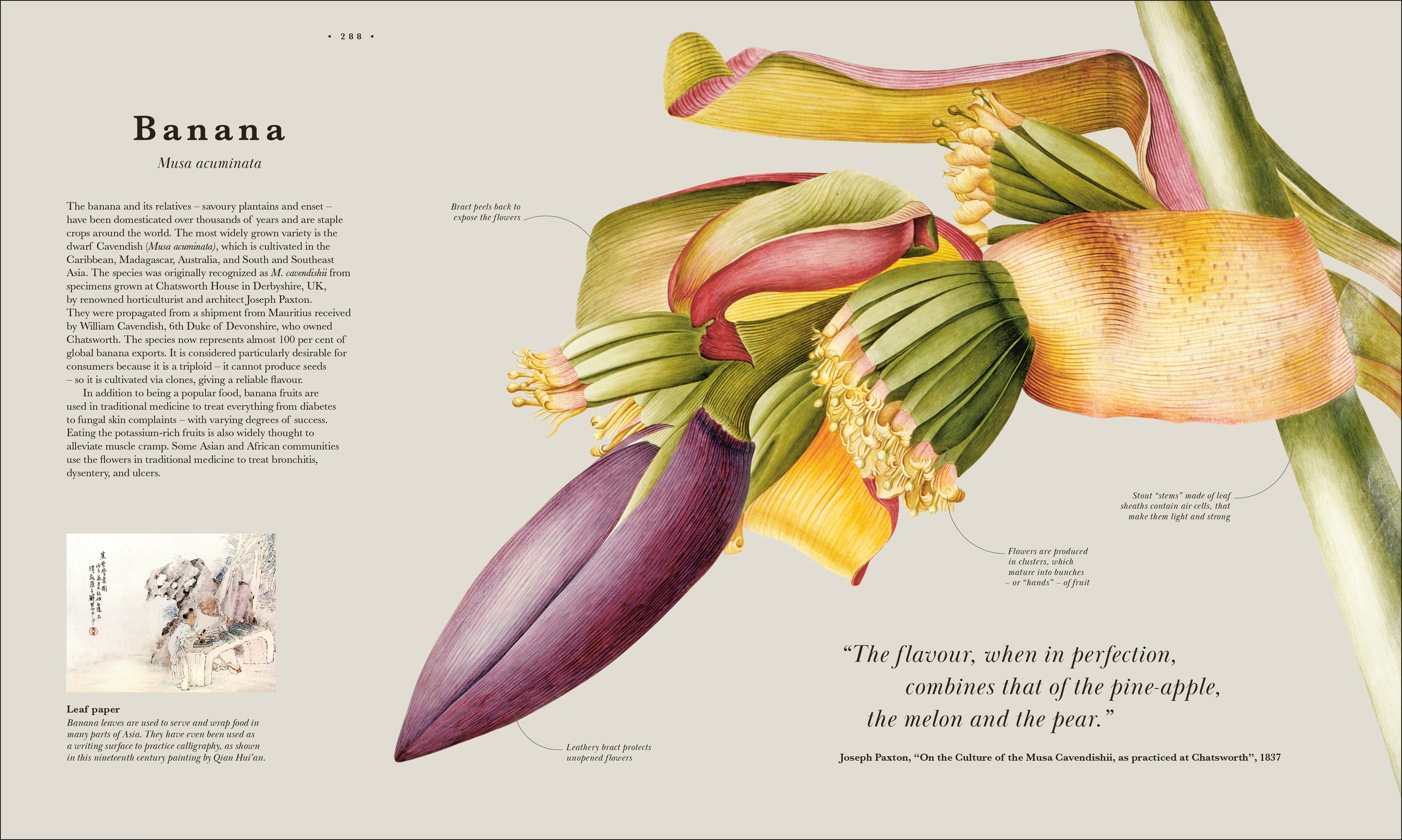 Atlas of Botany - Image 16