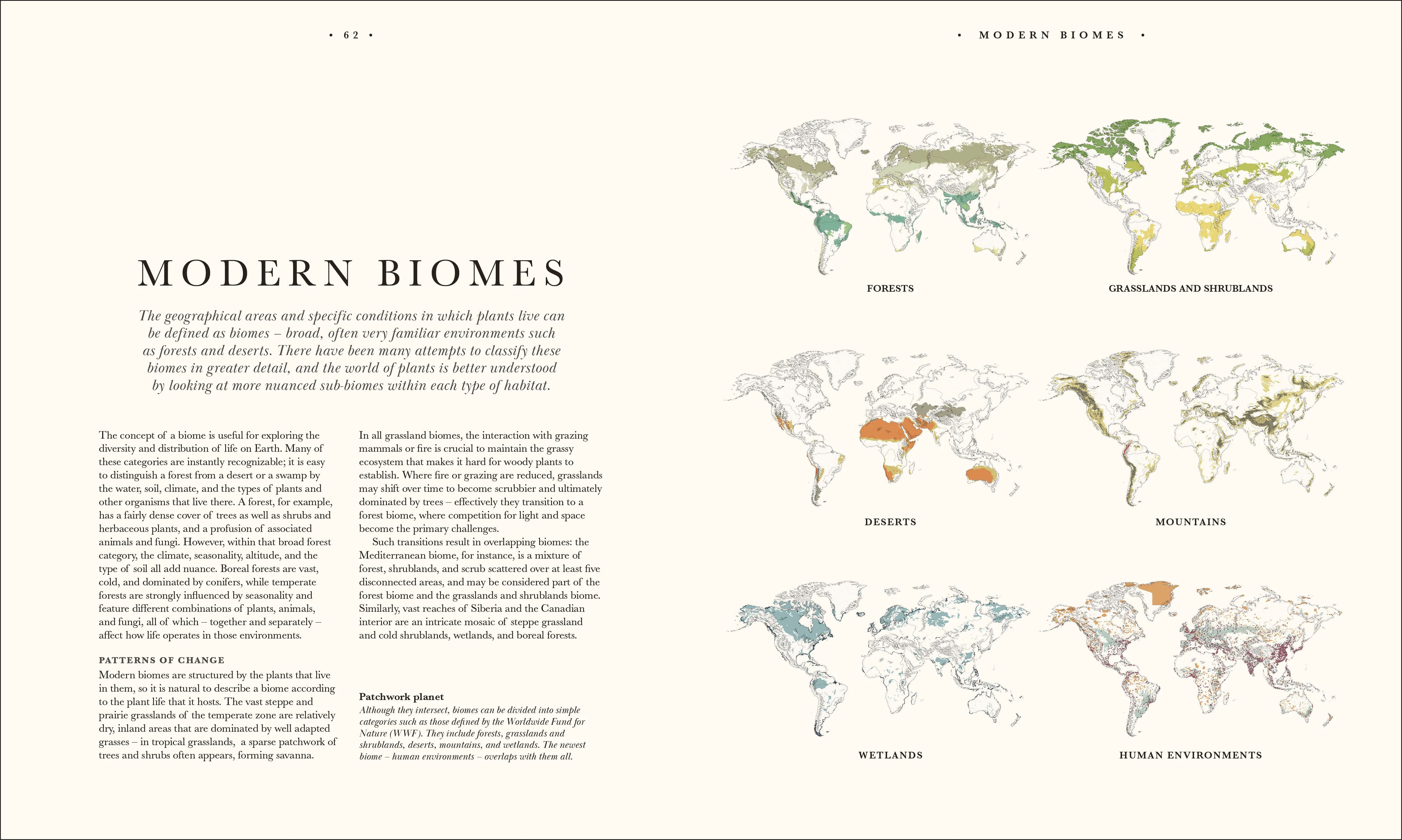 Atlas of Botany - Image 3