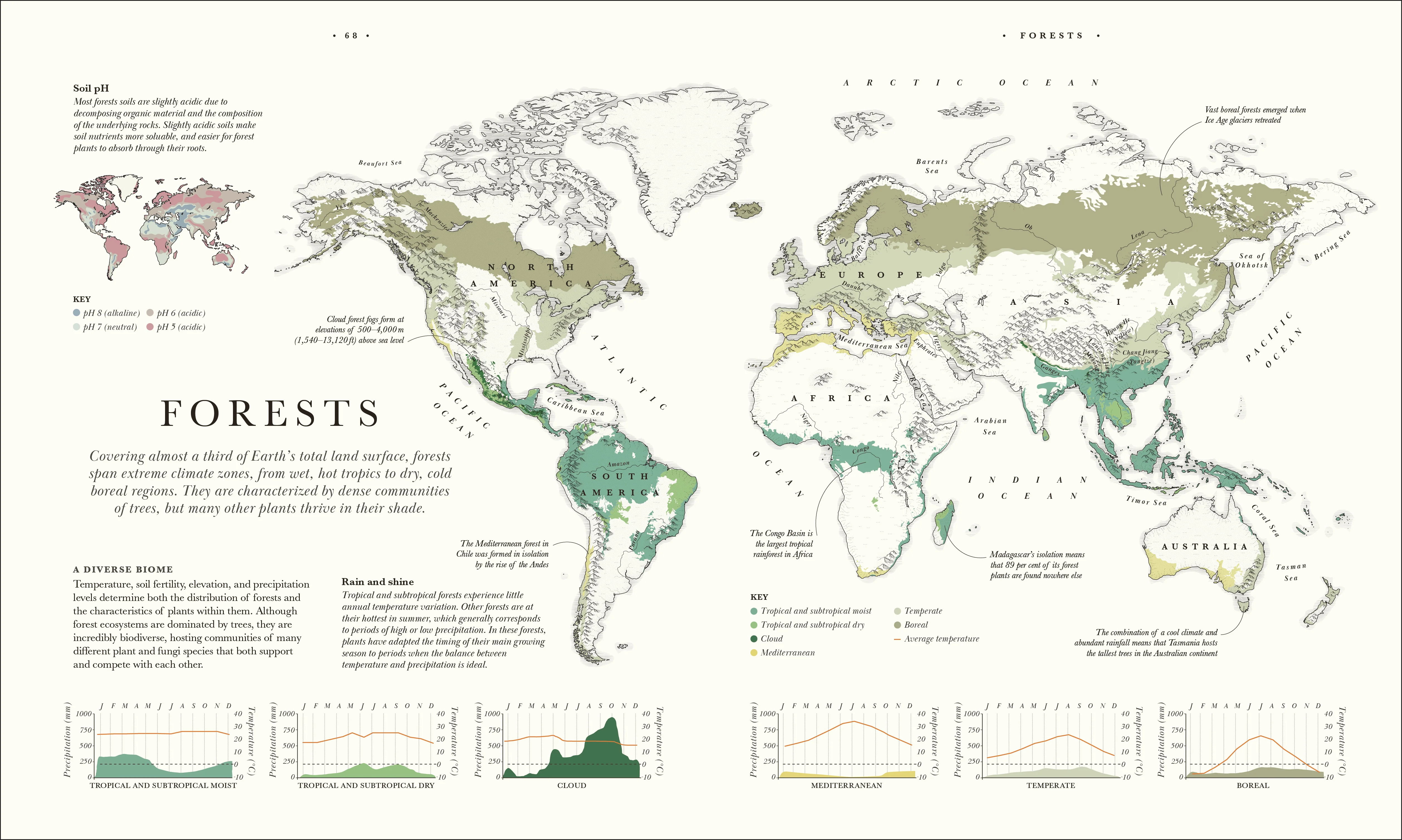 Atlas of Botany - Image 4