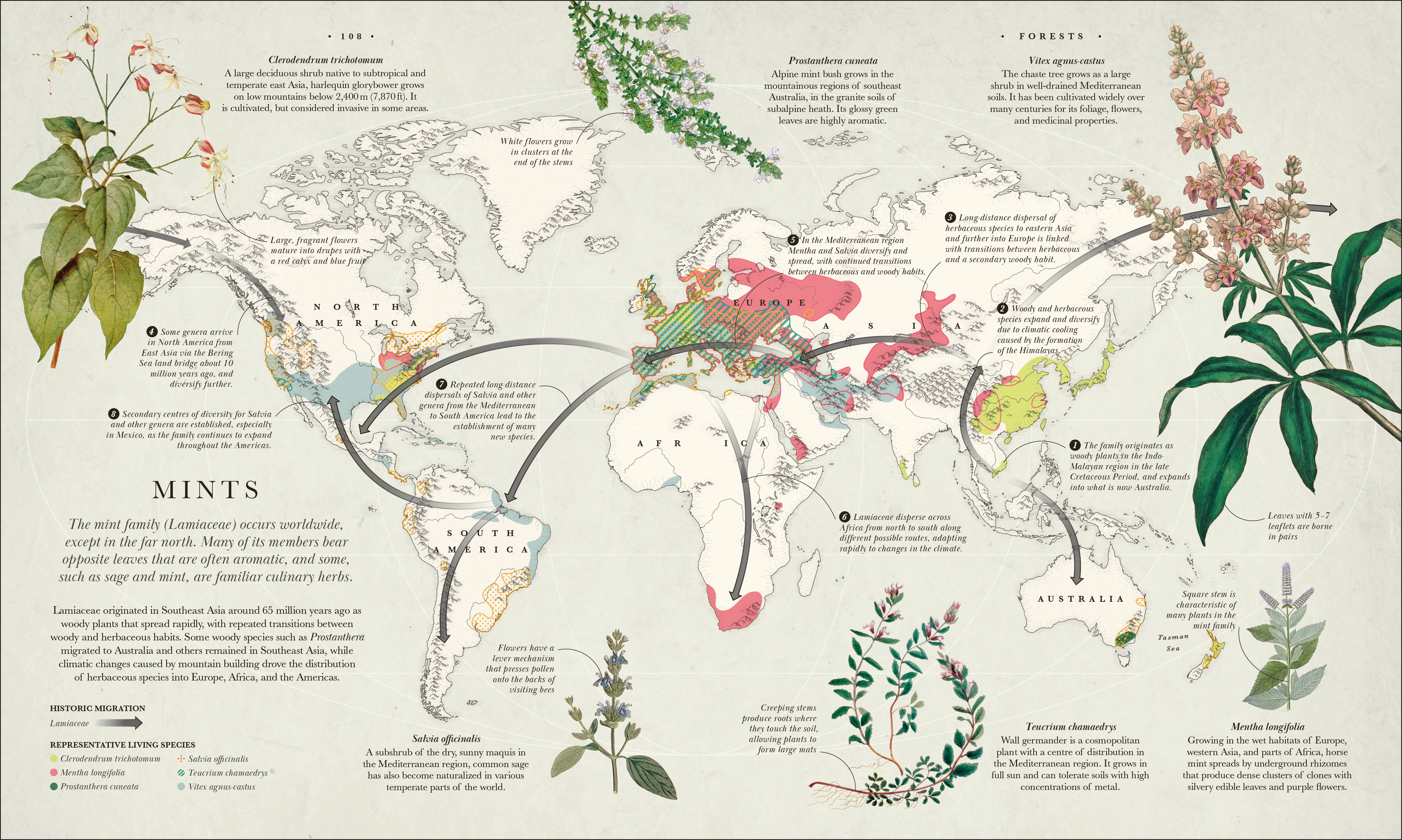 Atlas of Botany - Image 5