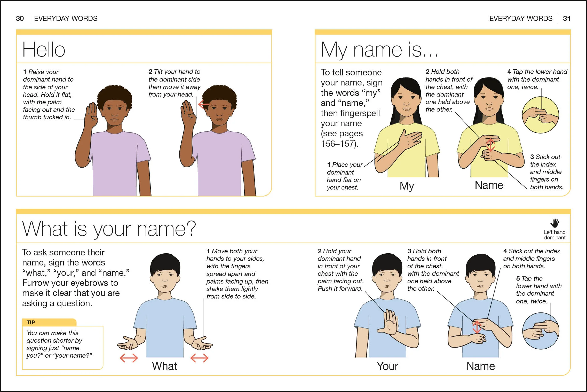 Pocket Genius American Sign Language - Image 3