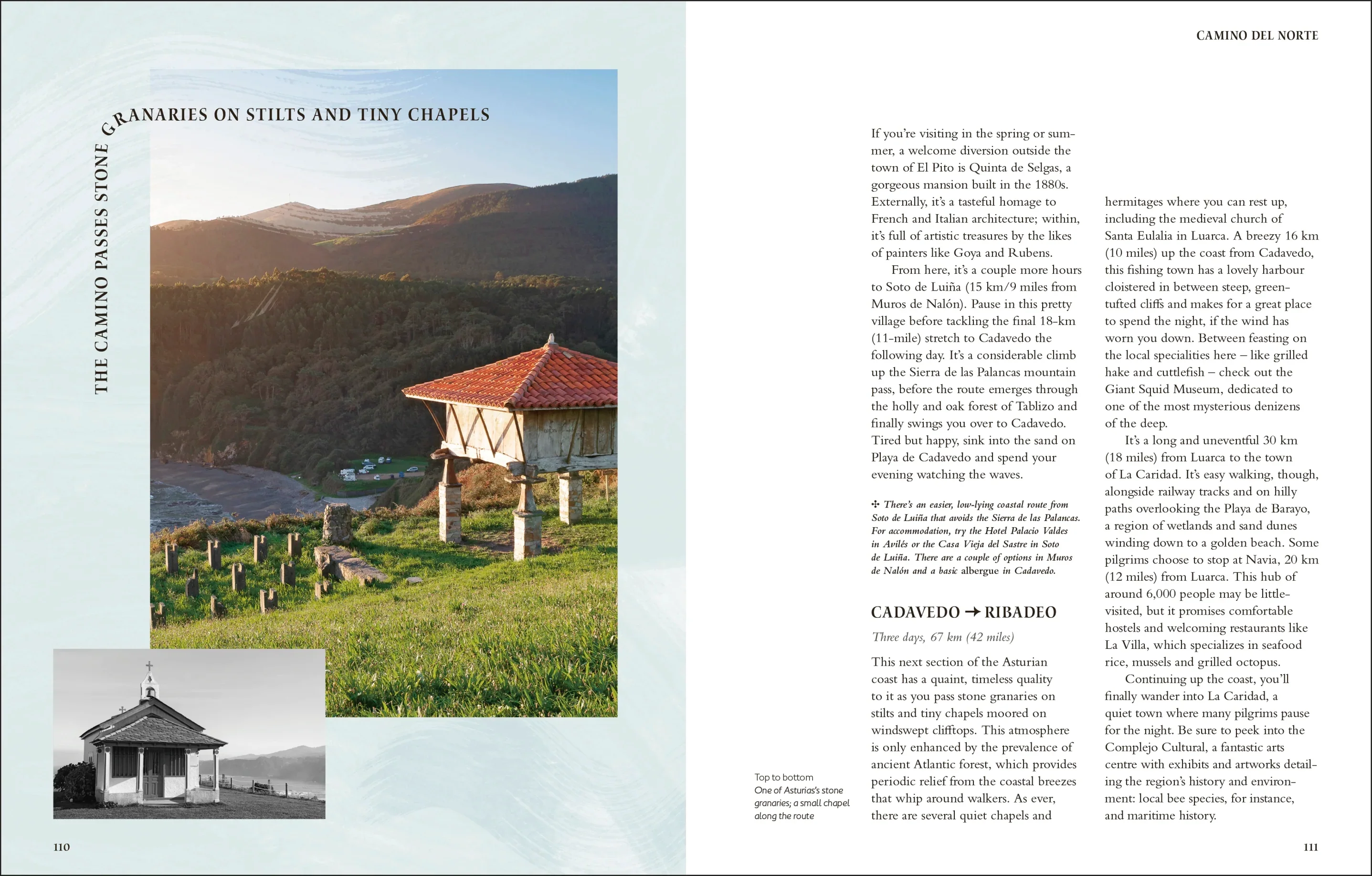 Walking the Camino de Santiago - Image 10