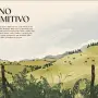 Walking the Camino de Santiago - Image 12