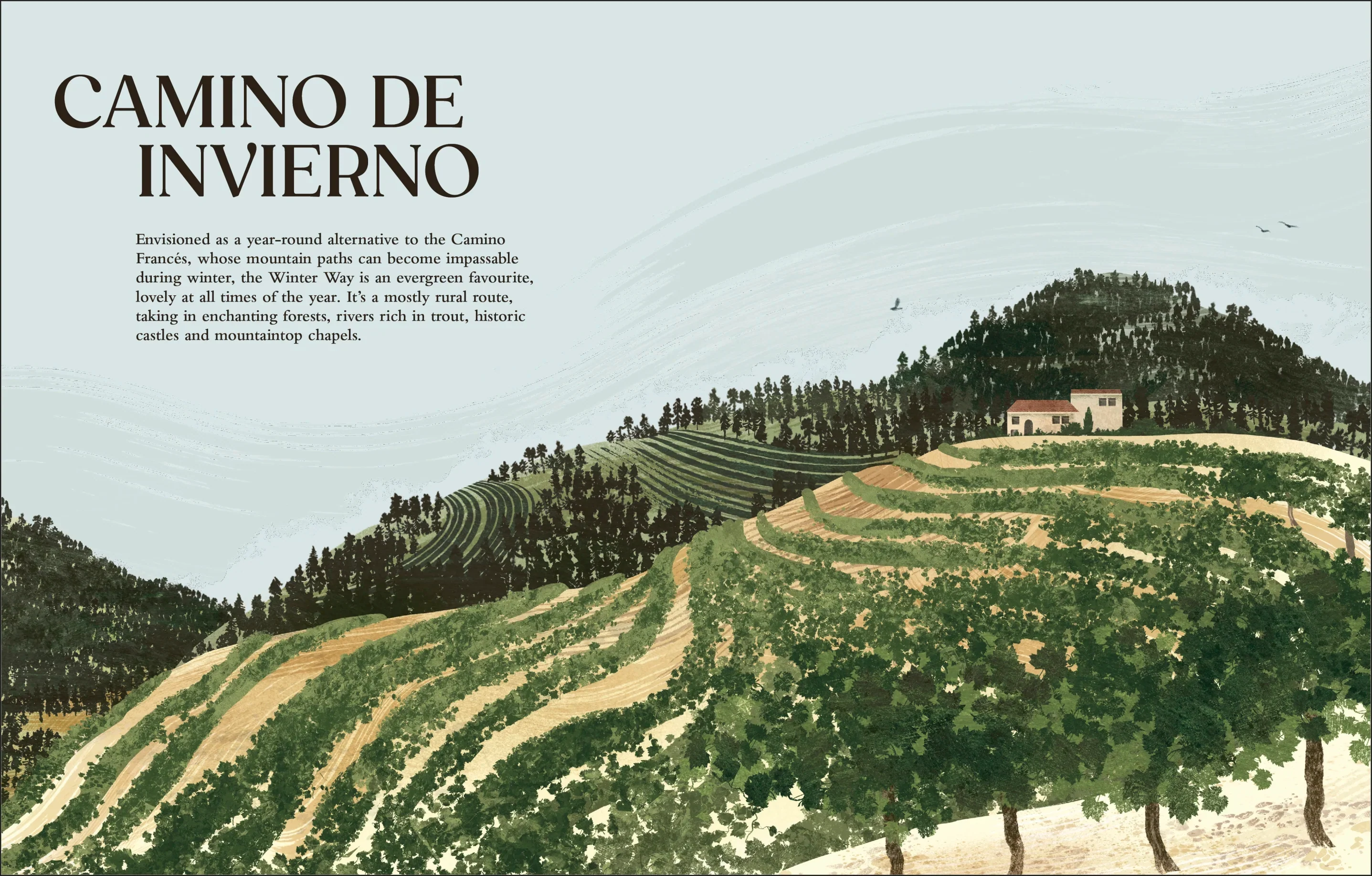 Walking the Camino de Santiago - Image 7