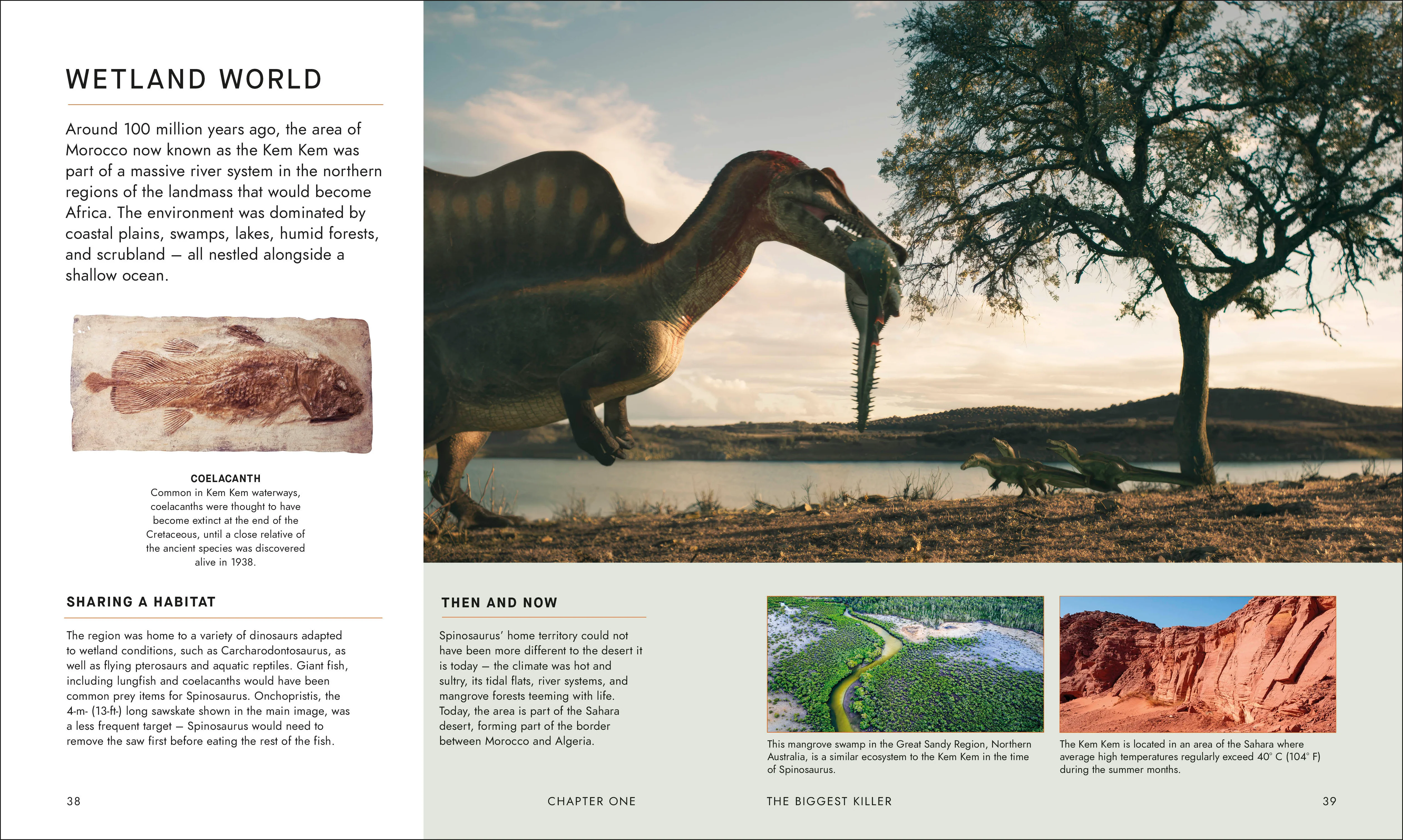BBC Walking With Dinosaurs - Image 4