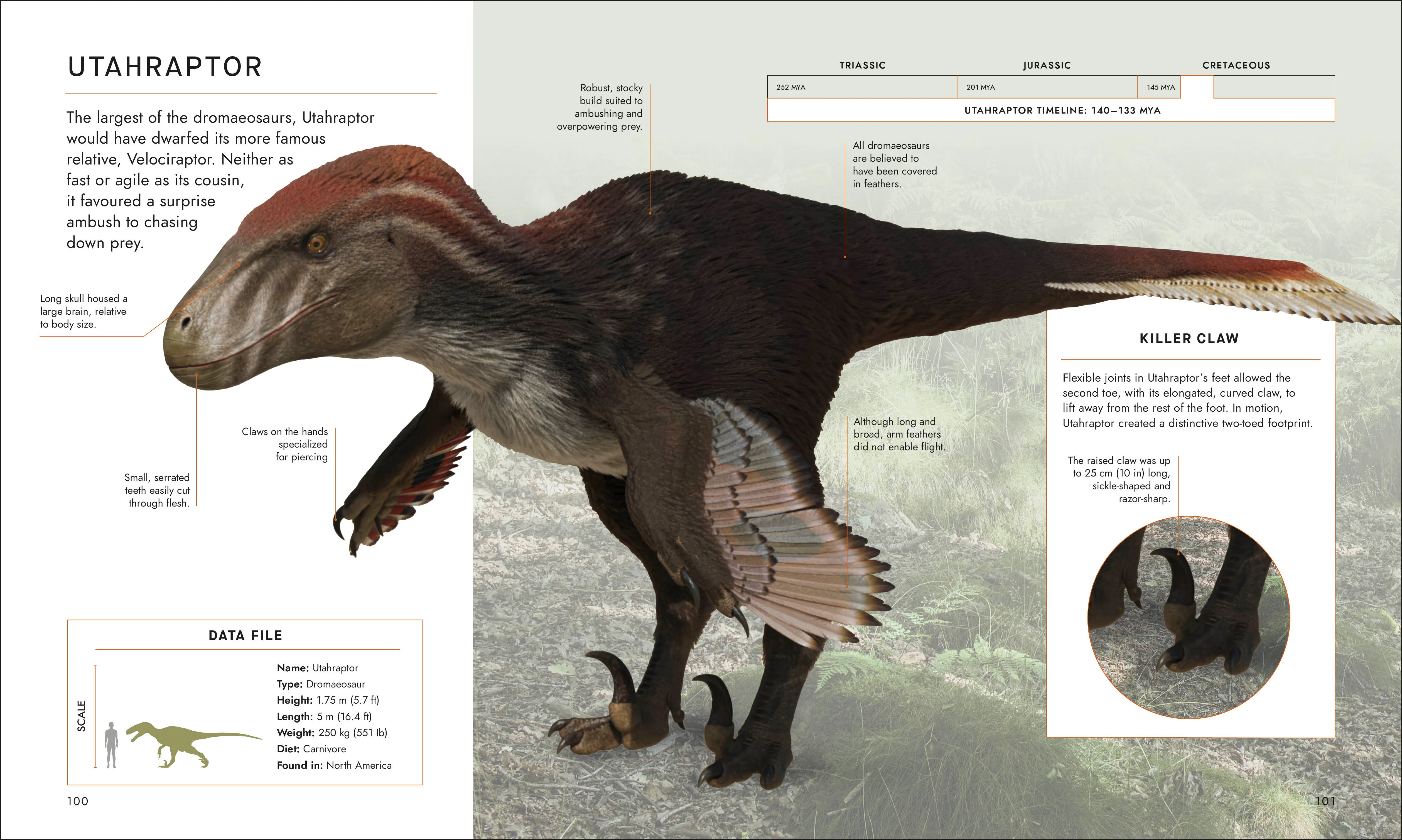 BBC Walking With Dinosaurs - Image 6