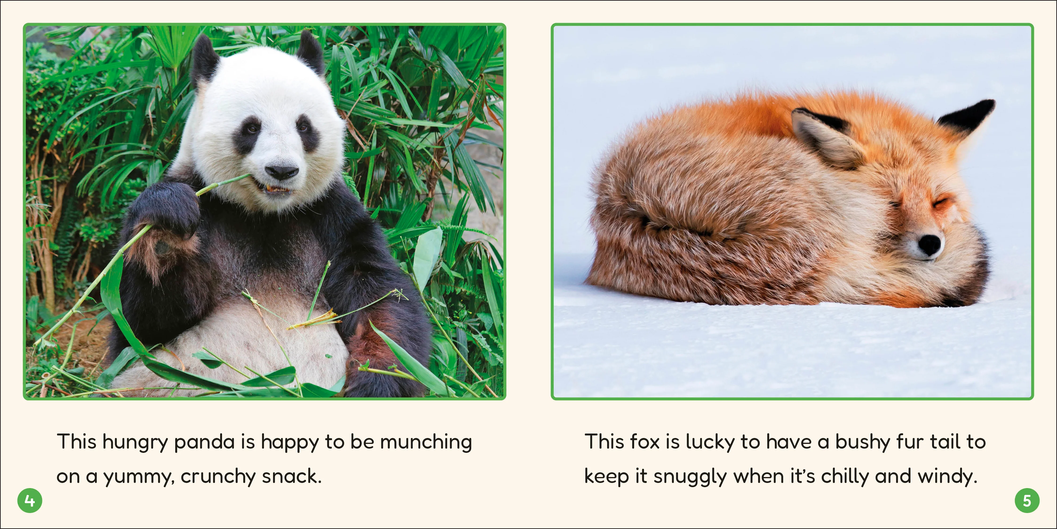 Phonic Books Lift Off Readers Ending Spelling Patterns - Image 5