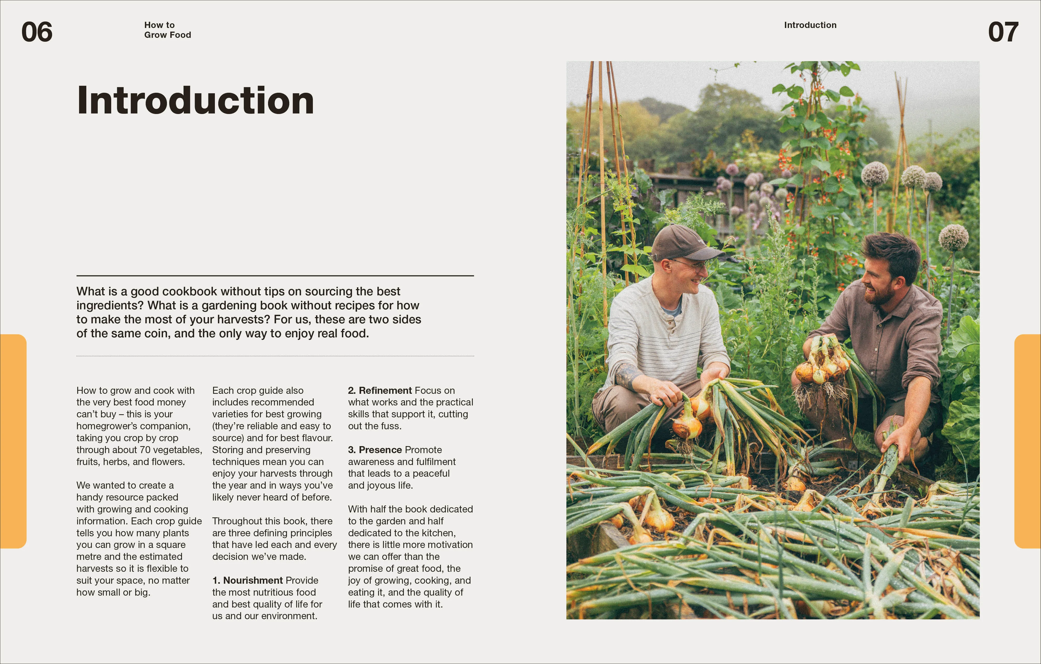 How to Grow Food - Image 4