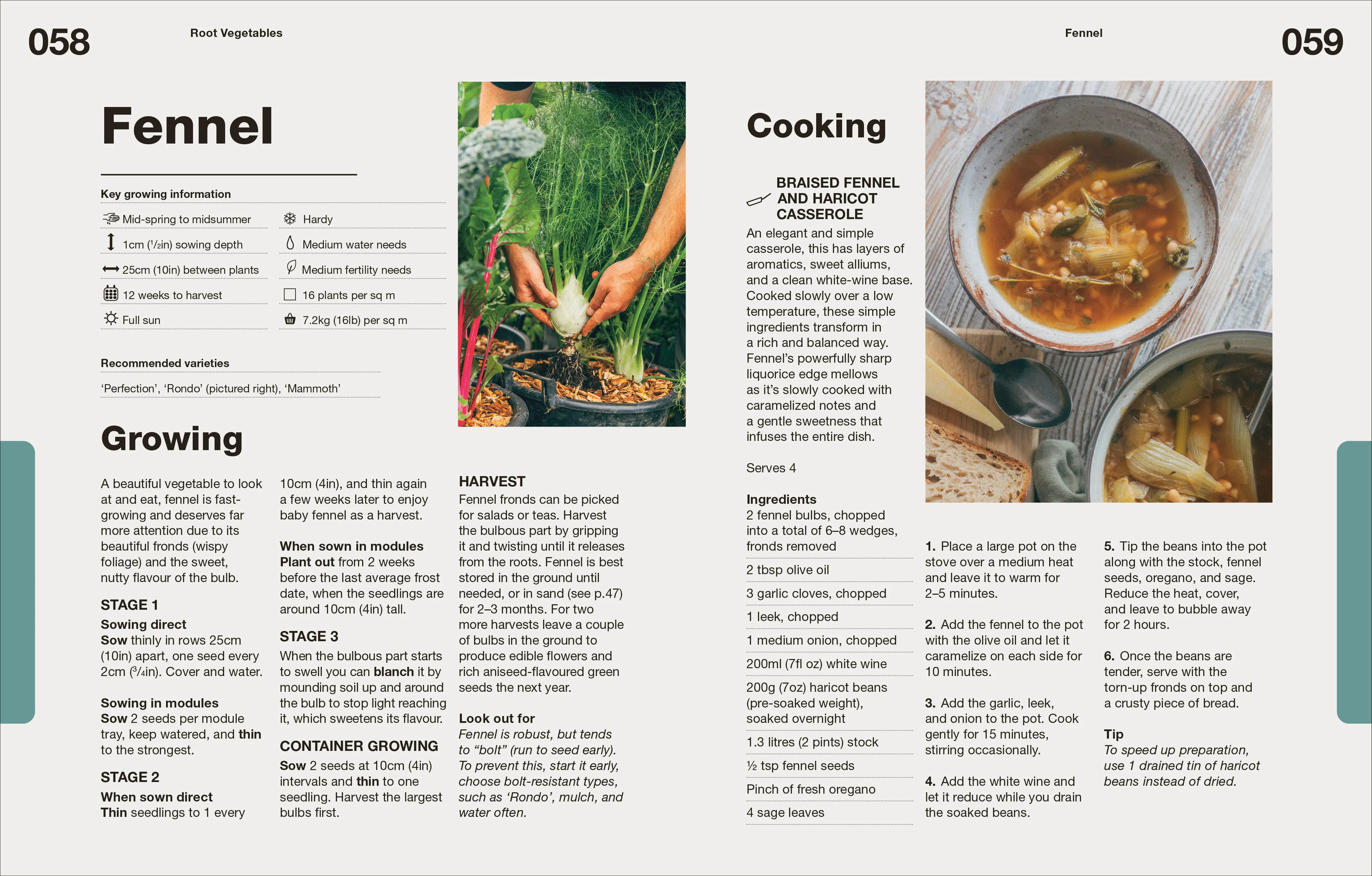 How to Grow Food - Image 6
