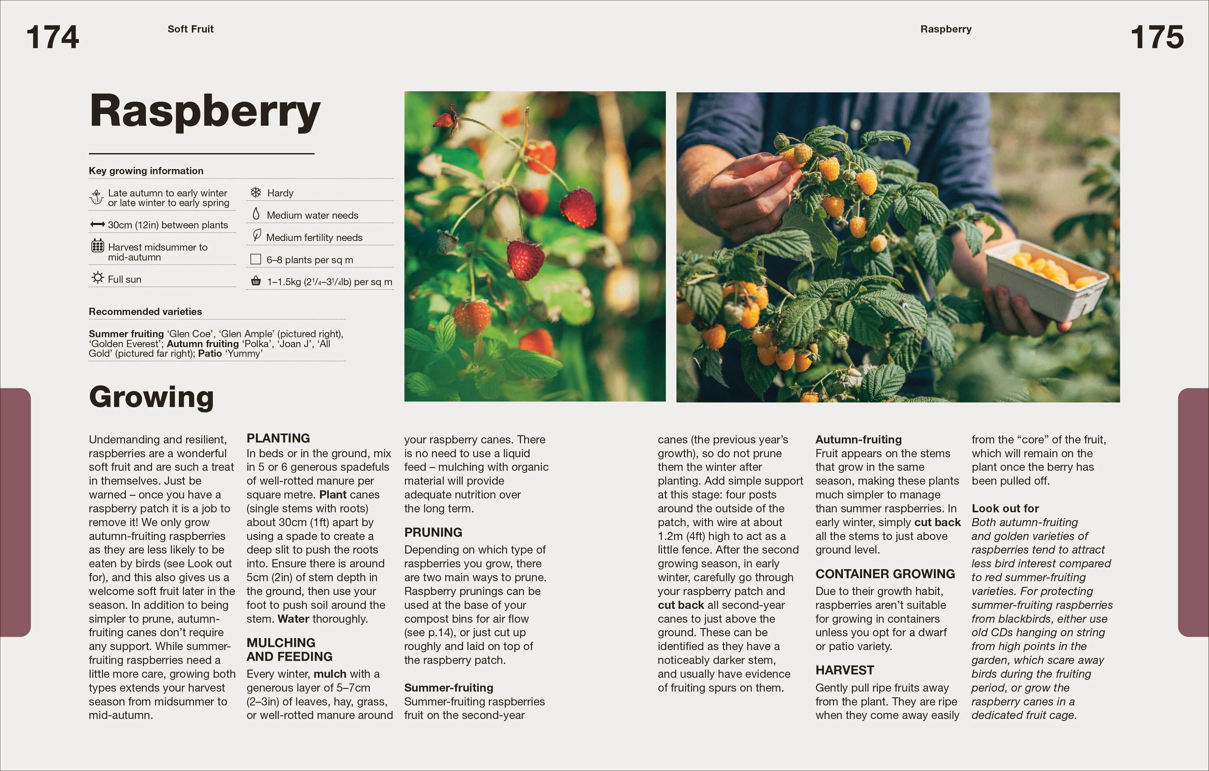 How to Grow Food - Image 7
