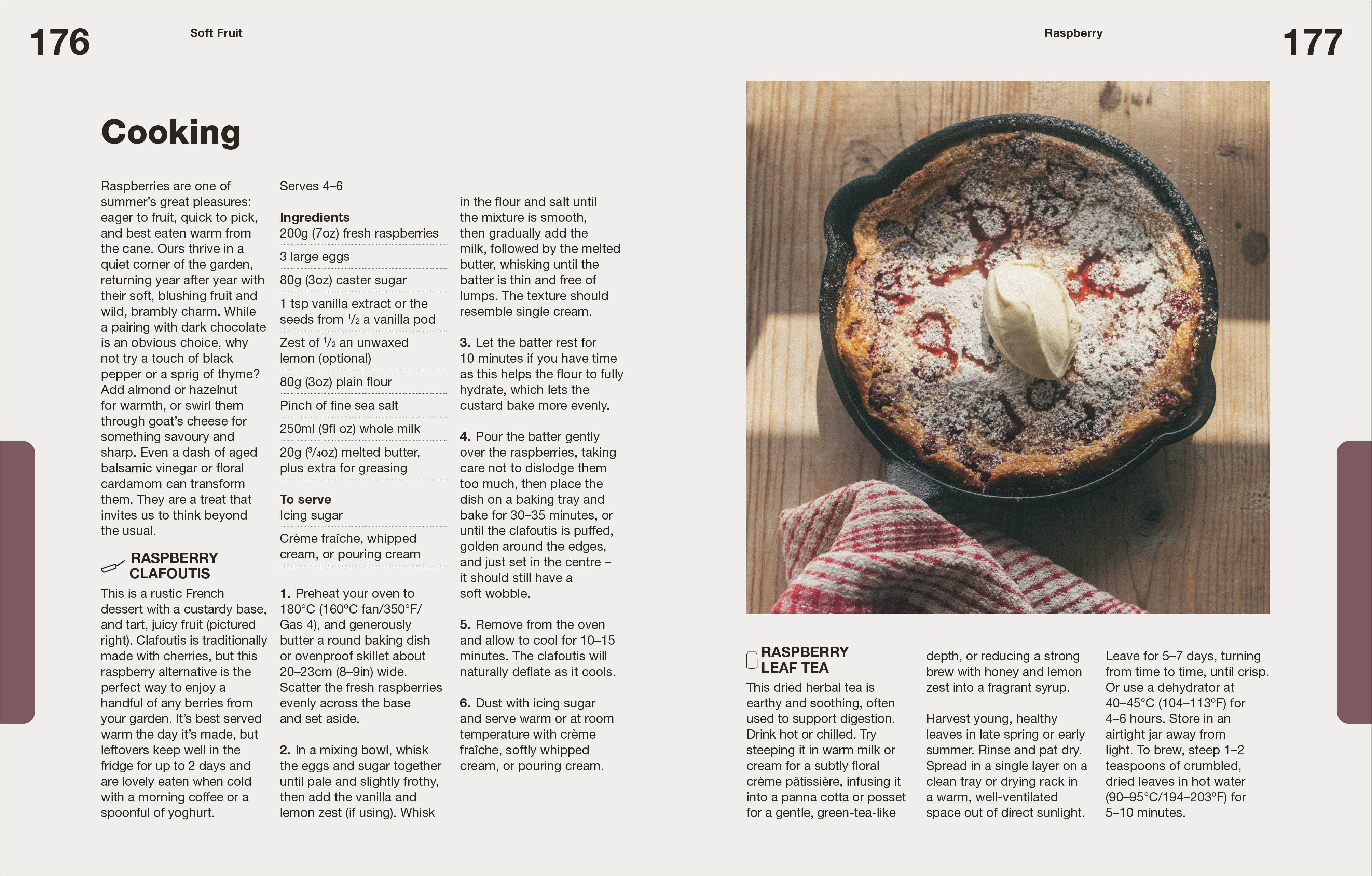 How to Grow Food - Image 8