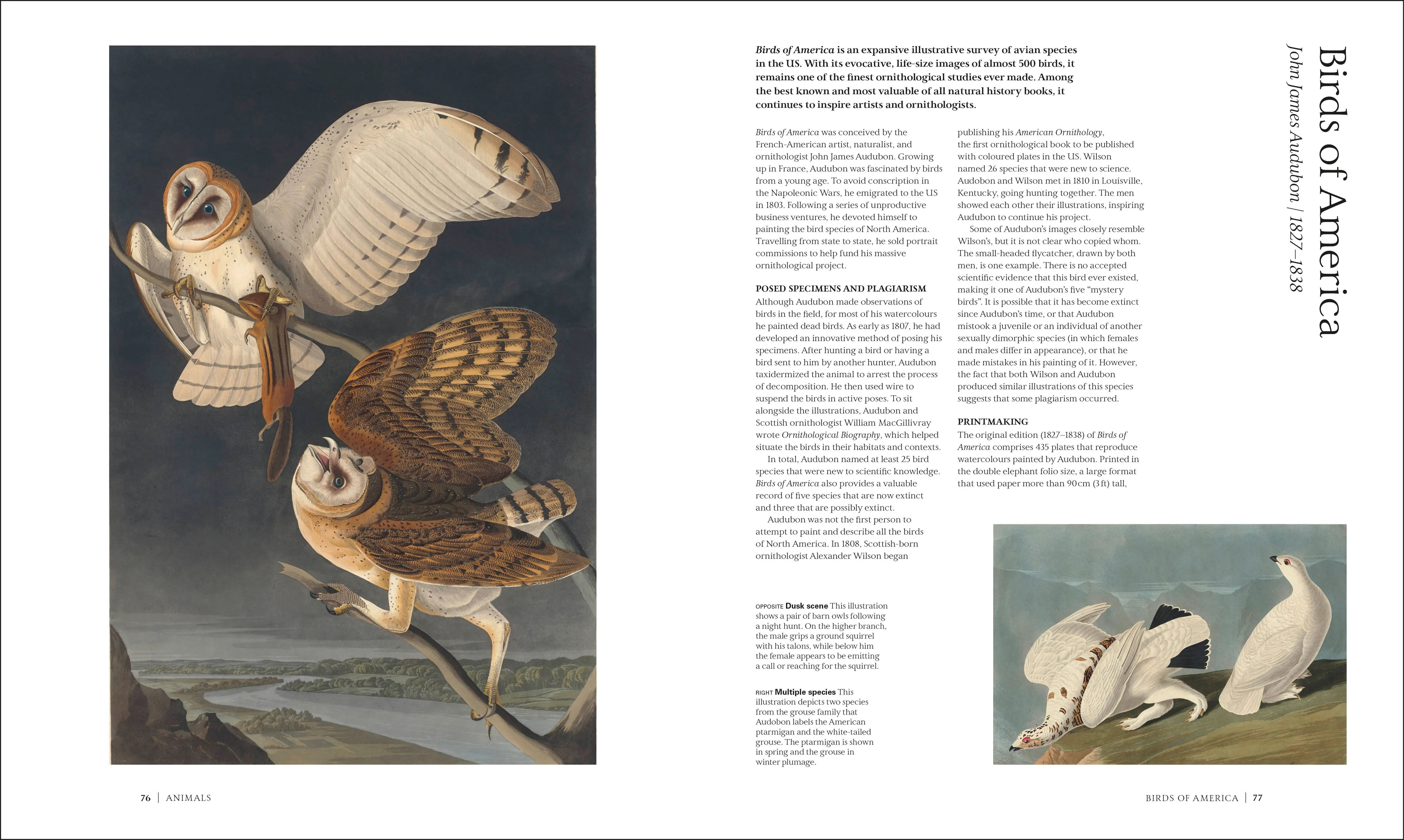 The Art of Science - Image 2