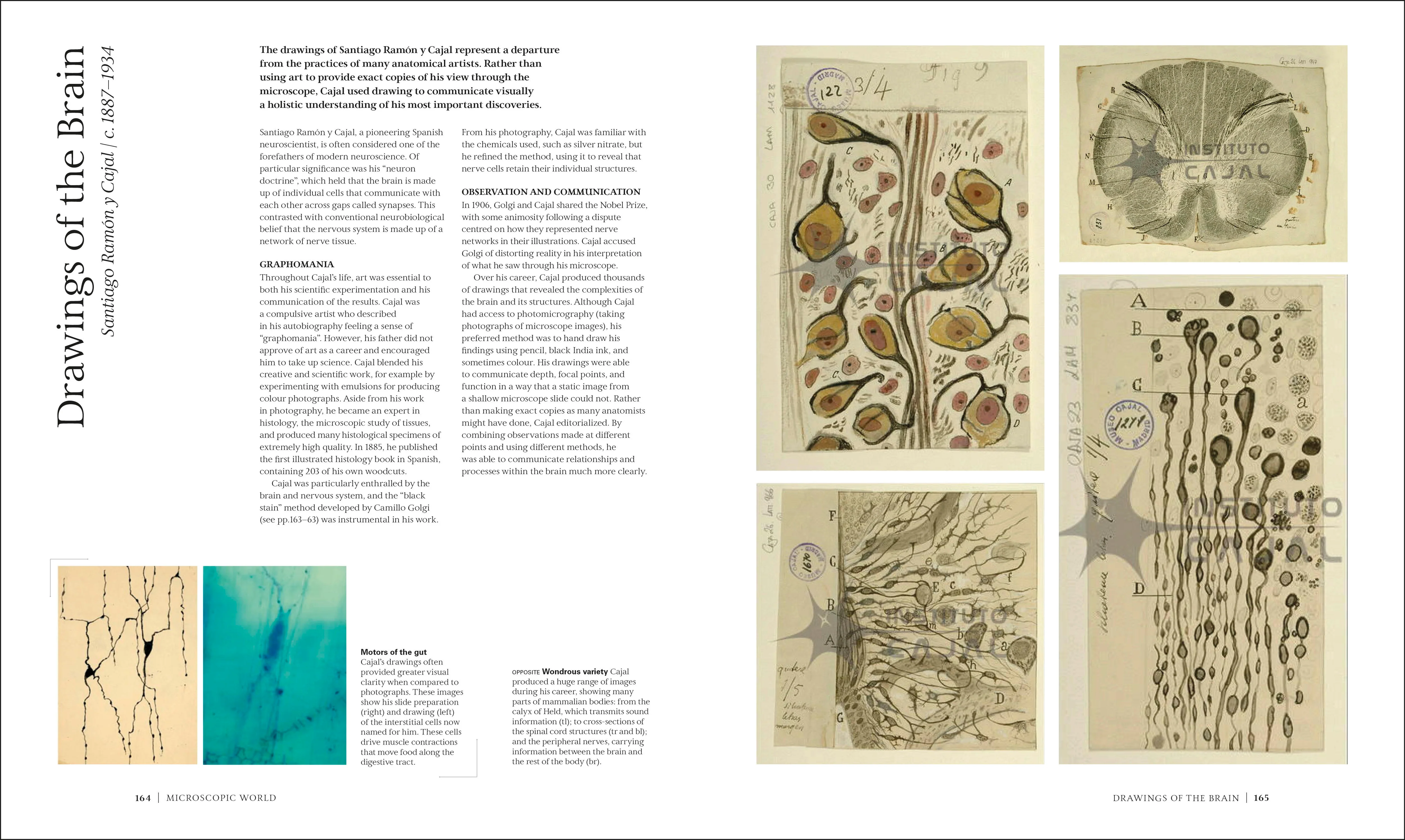 The Art of Science - Image 3