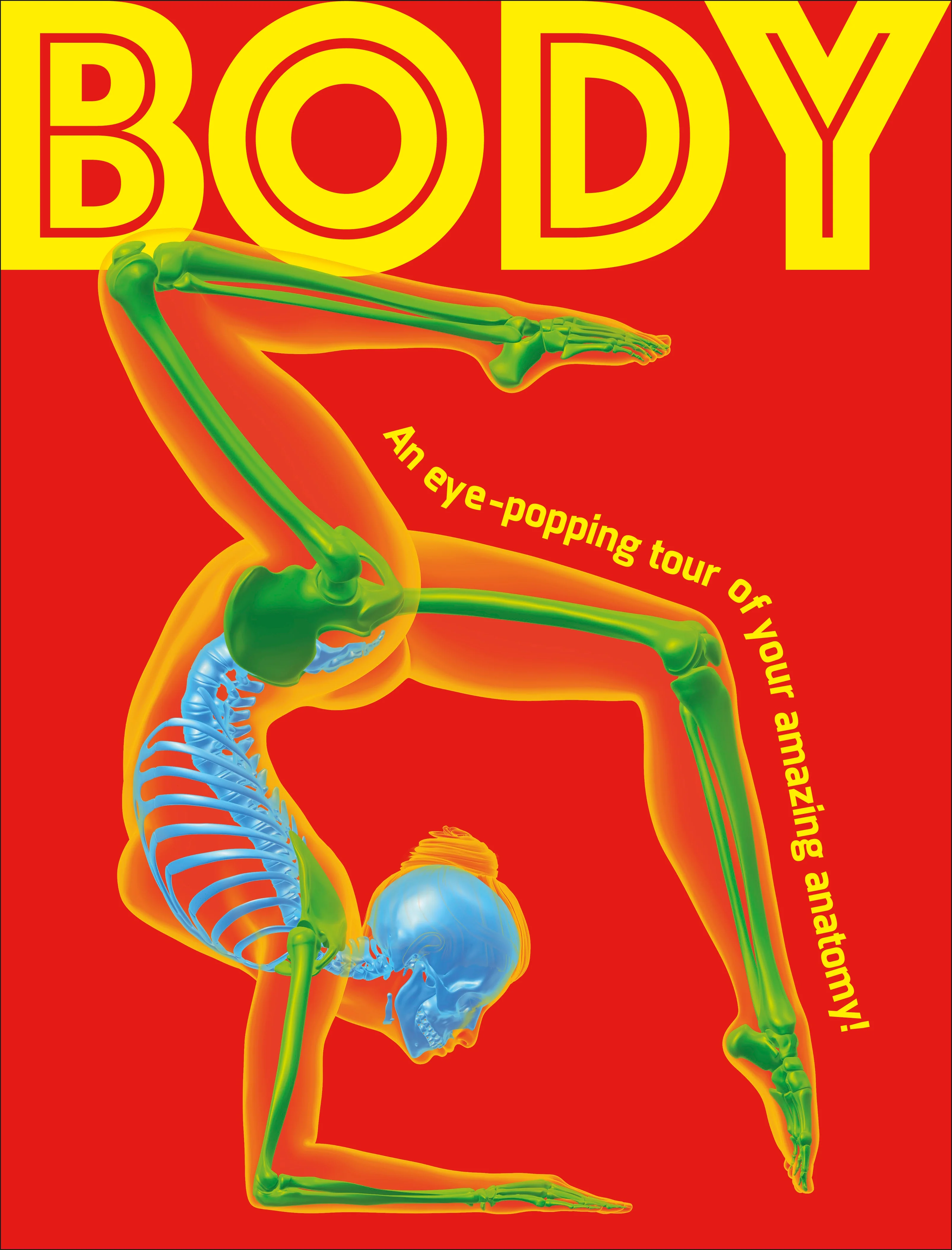 Body - Image 2
