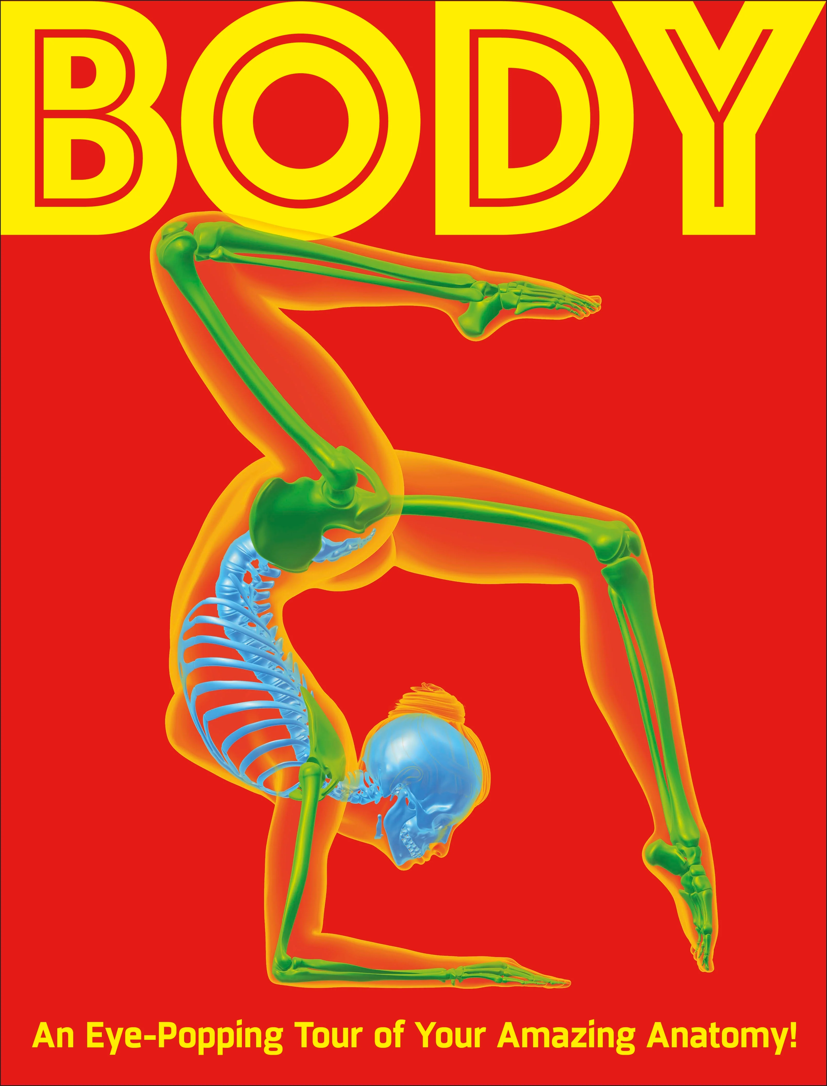Body - Image 3
